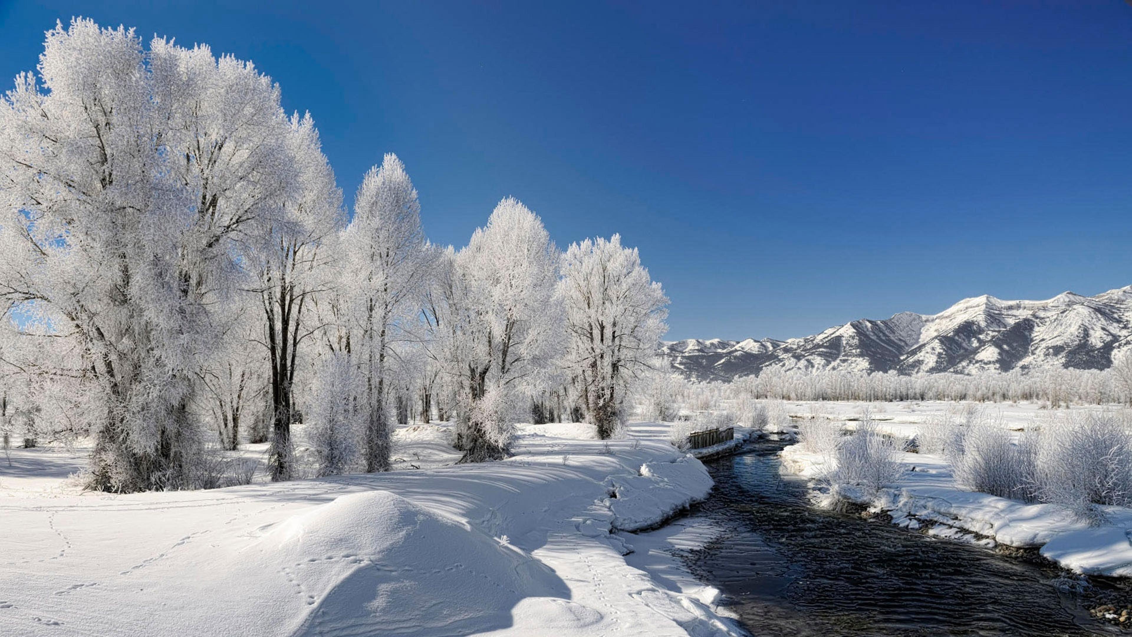 Frozen river white winter landscape