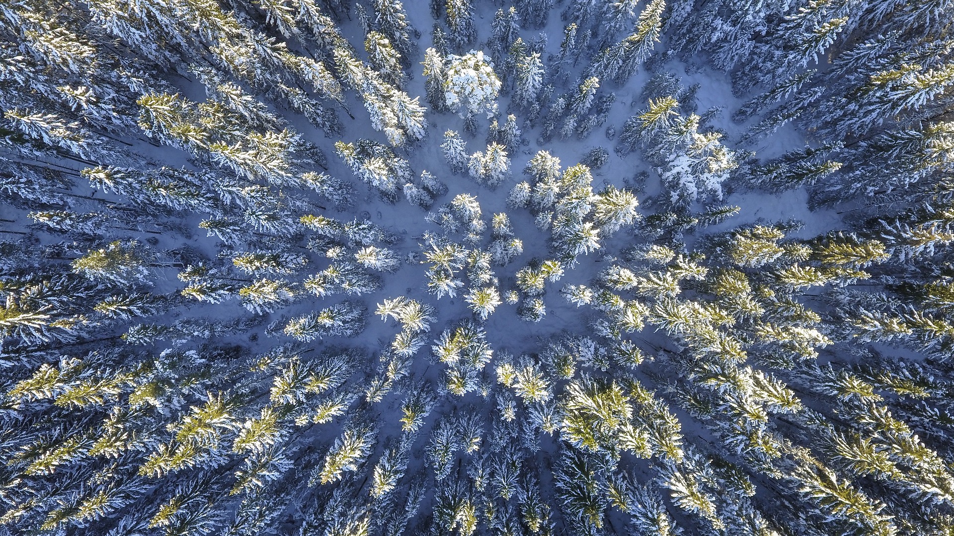 Desktop Wallpaper Aerial View, Forest, Winter, Snow Frost, Nature, Tree, HD Image, Picture, Background, Mg Kto
