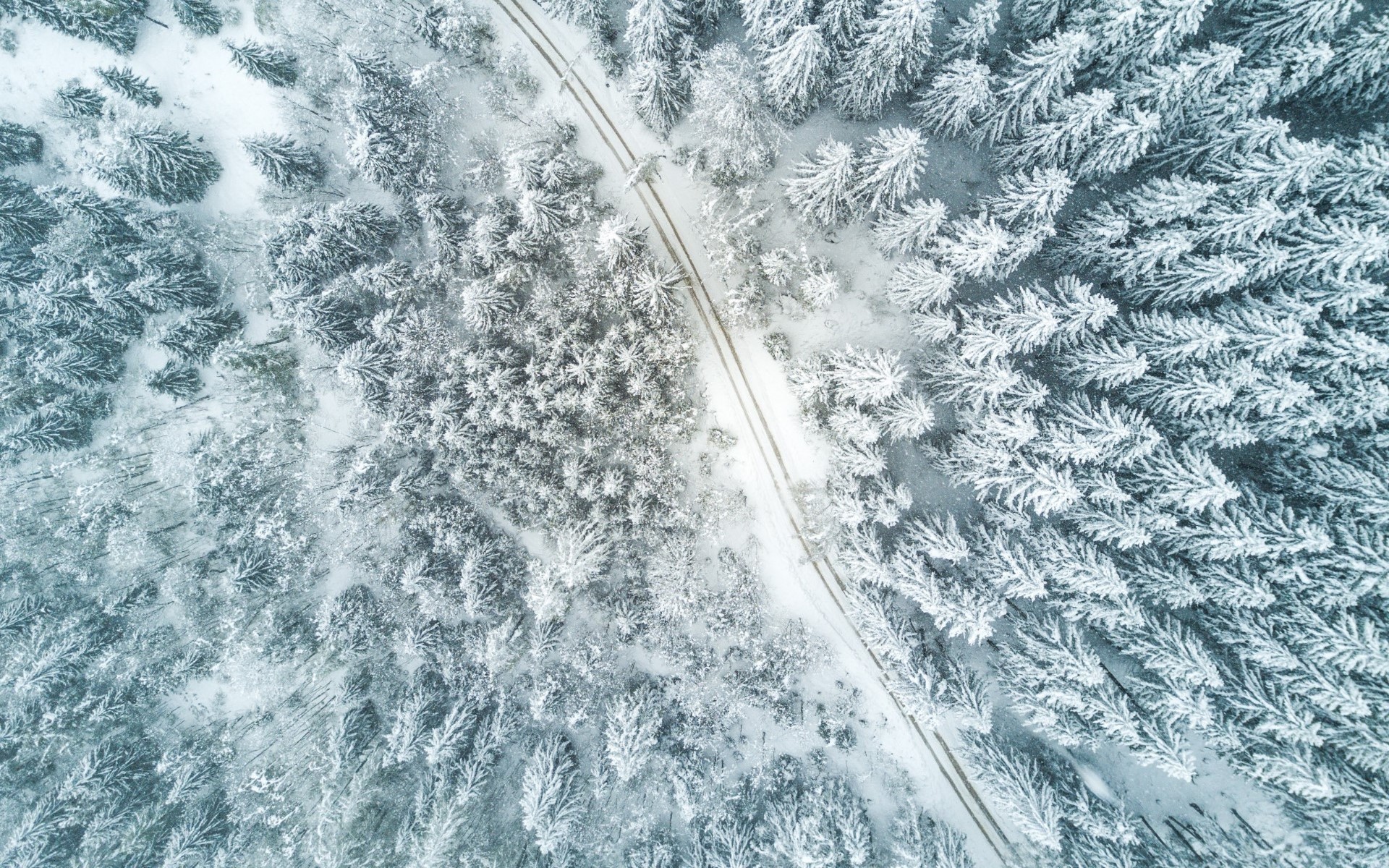Wallpaper / aerial view, road, winter, trees, snow free download