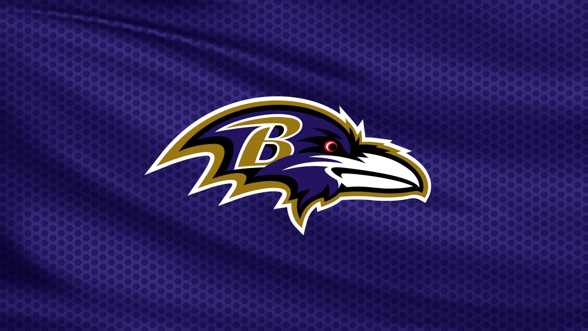 Baltimore Ravens Tickets NFL Tickets & Schedule