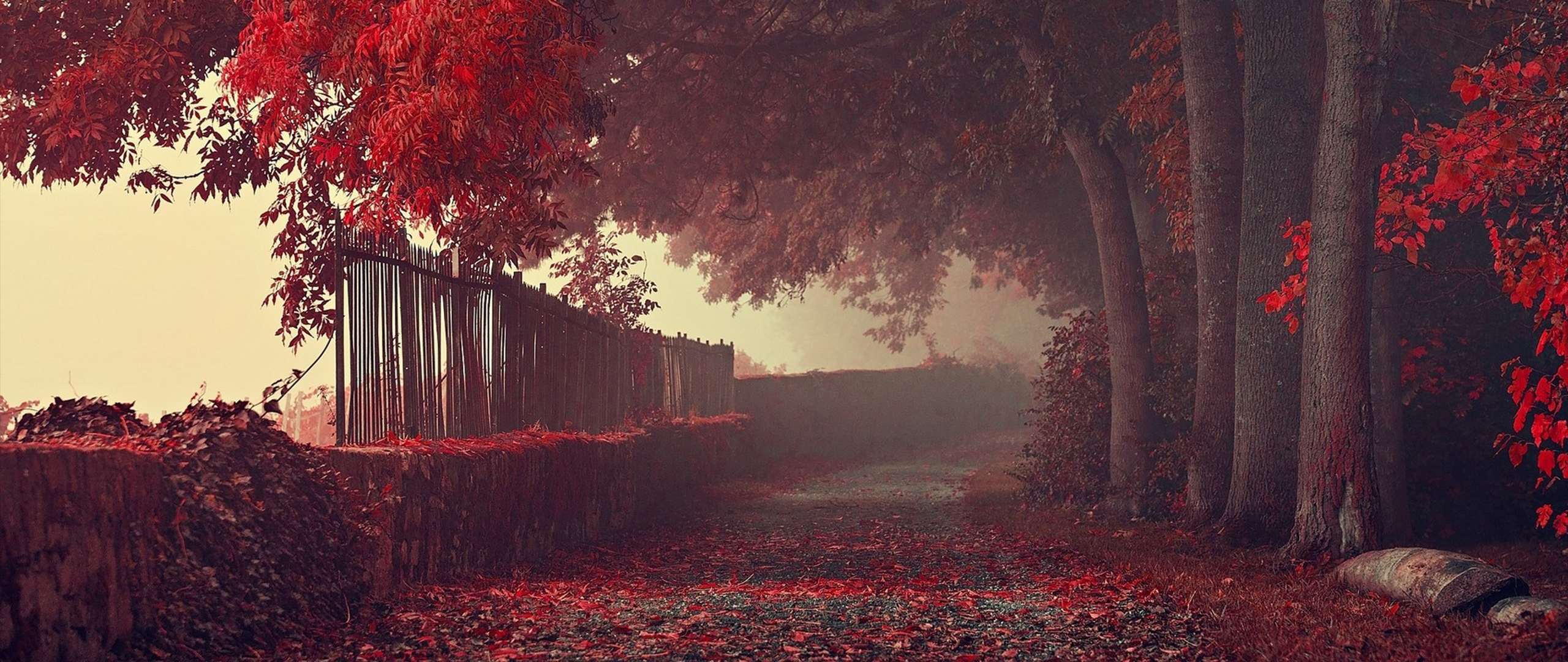Path, Photography, Nature, Fall, Red, Trees, Ultra Wide, Leaves, Park Gallery HD Wallpaper