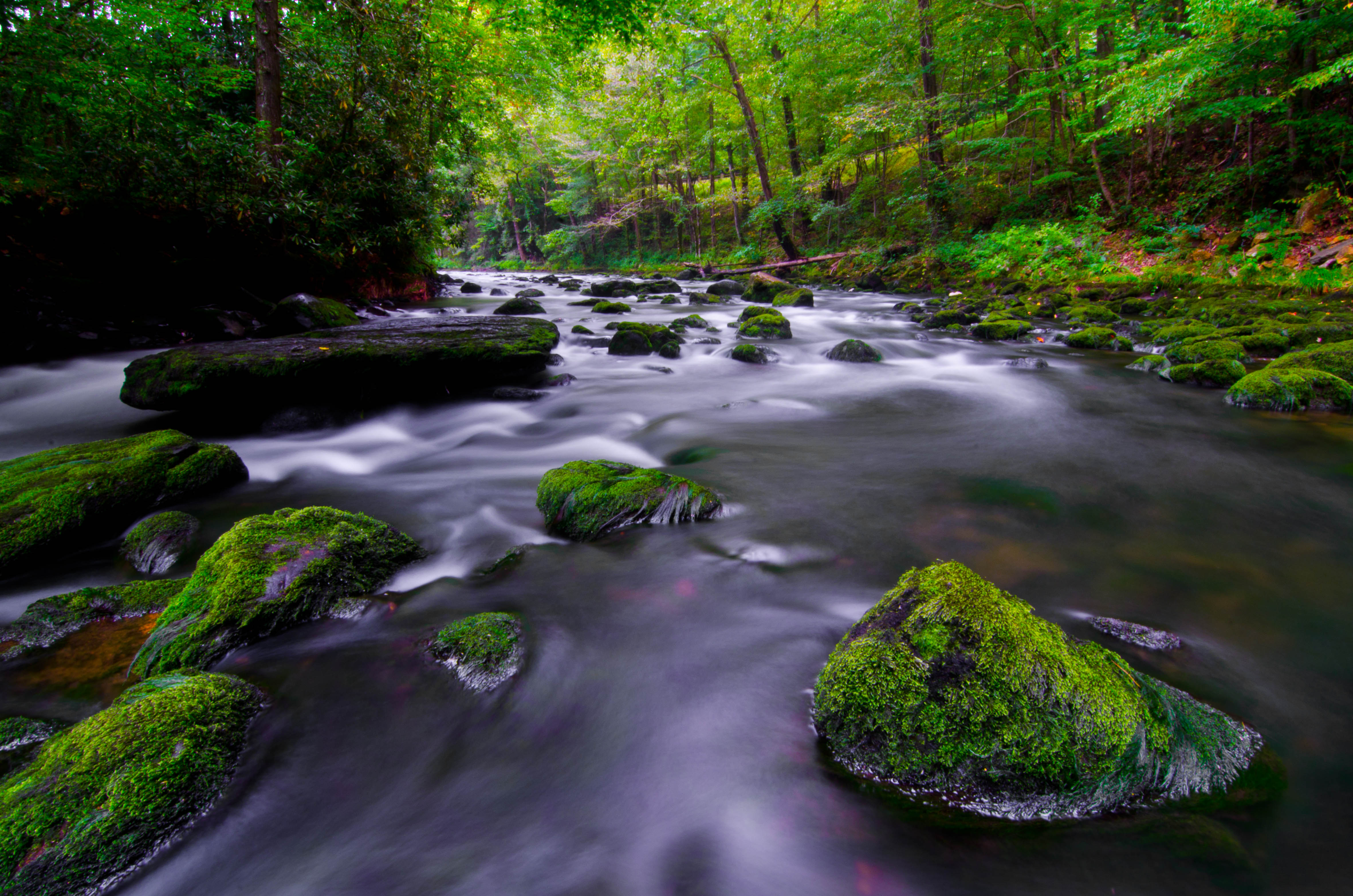 Wallpaper, longexposure, nature, water, river, NC, Nikon, northcarolina, tokina, ultrawide, nantahala, superwide, nantahalariver, 1116mm, d7000, nikond7000 4724x3129