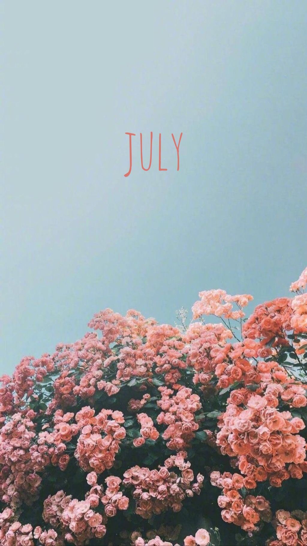 July Aesthetic Wallpapers Wallpaper Cave