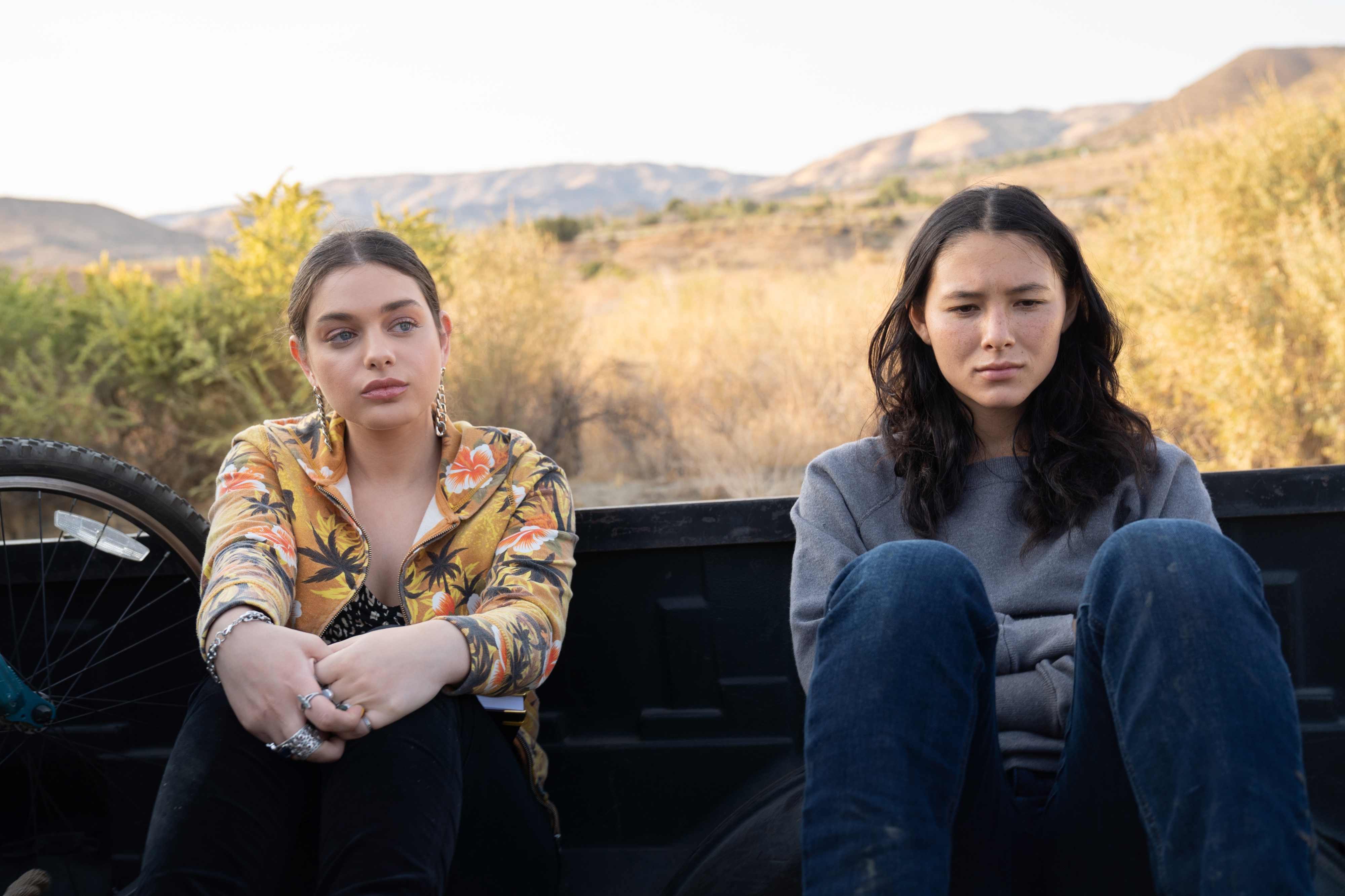 Fivel Stewart HD Wallpaper and Background