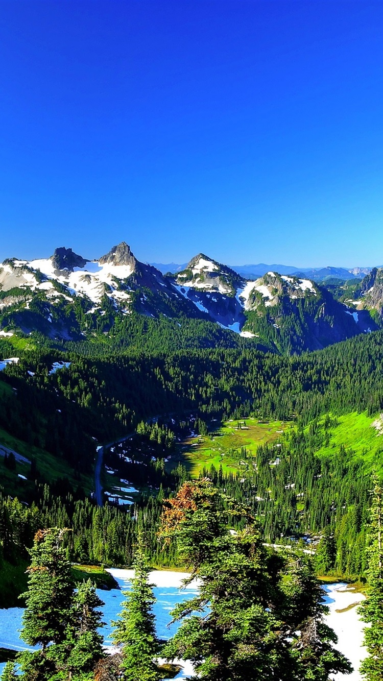 Mount Rainier, USA, Spring, Trees, Mountains, Snow 750x1334 IPhone 8 7 6 6S Wallpaper, Background, Picture, Image