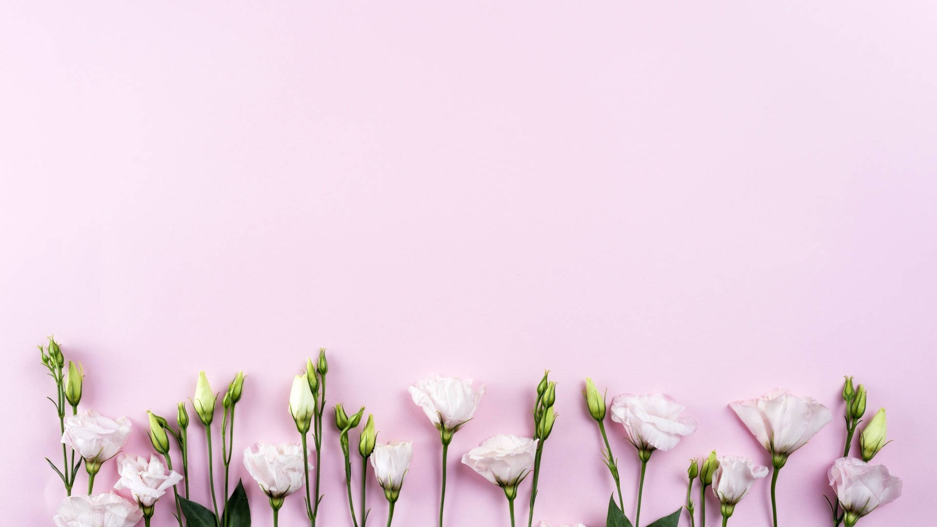 Free Minimalist Spring Wallpaper Downloads, Minimalist Spring Wallpaper for FREE