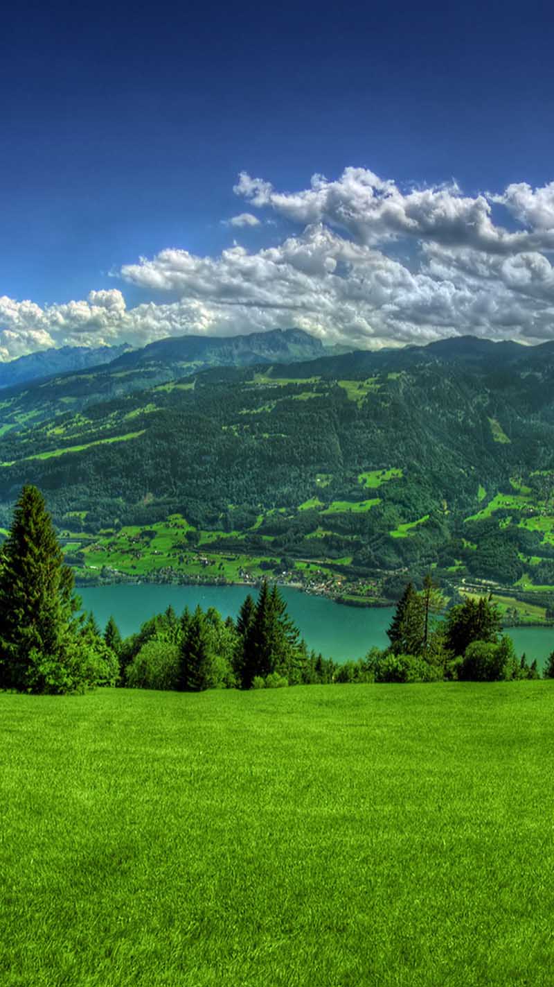 Download Spring iPhone Wallpaper 4K & Ultra HD 2023