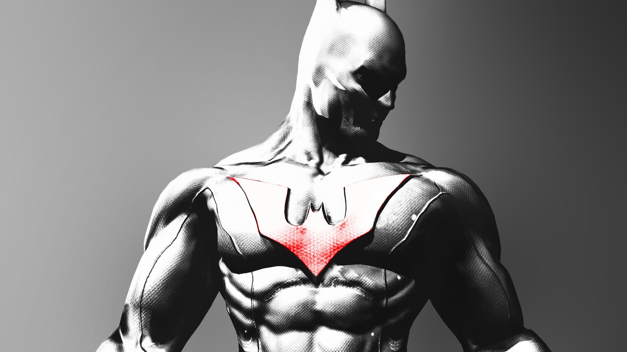 Wallpaper, monochrome, Batman Arkham City, superhero, Batman Beyond, muscle, arm, chest, black and white, human body, fictional character 2560x1440