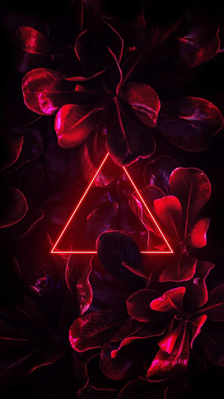 Red Neon Triangle Foliage Wallpaper, iPhone Wallpaper. iPhone wallpaper image, Neon wallpaper, iPhone wallpaper