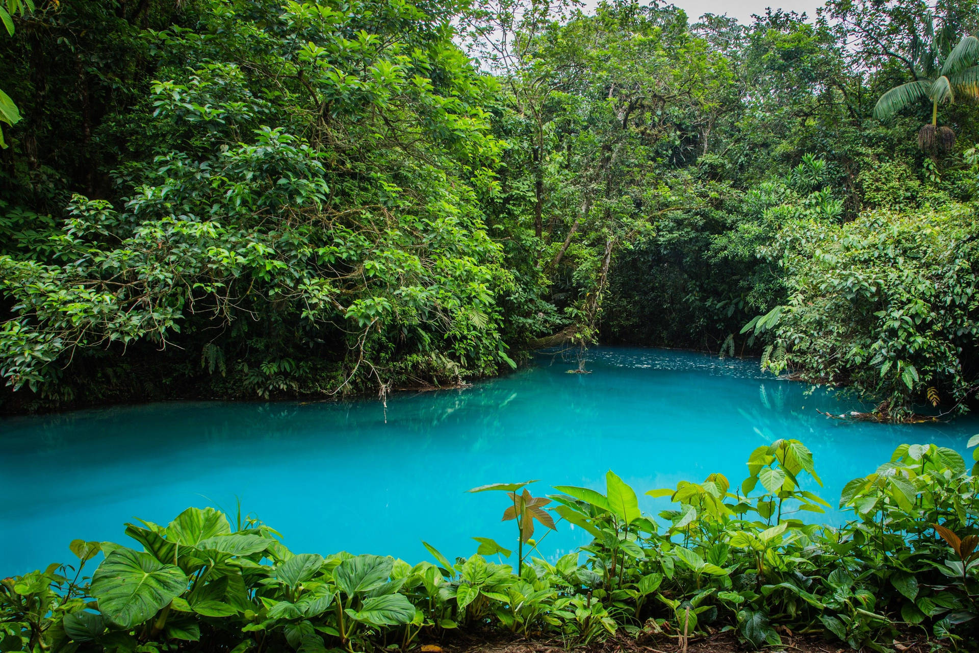 Download Rio Celeste Costa Rica Wallpaper
