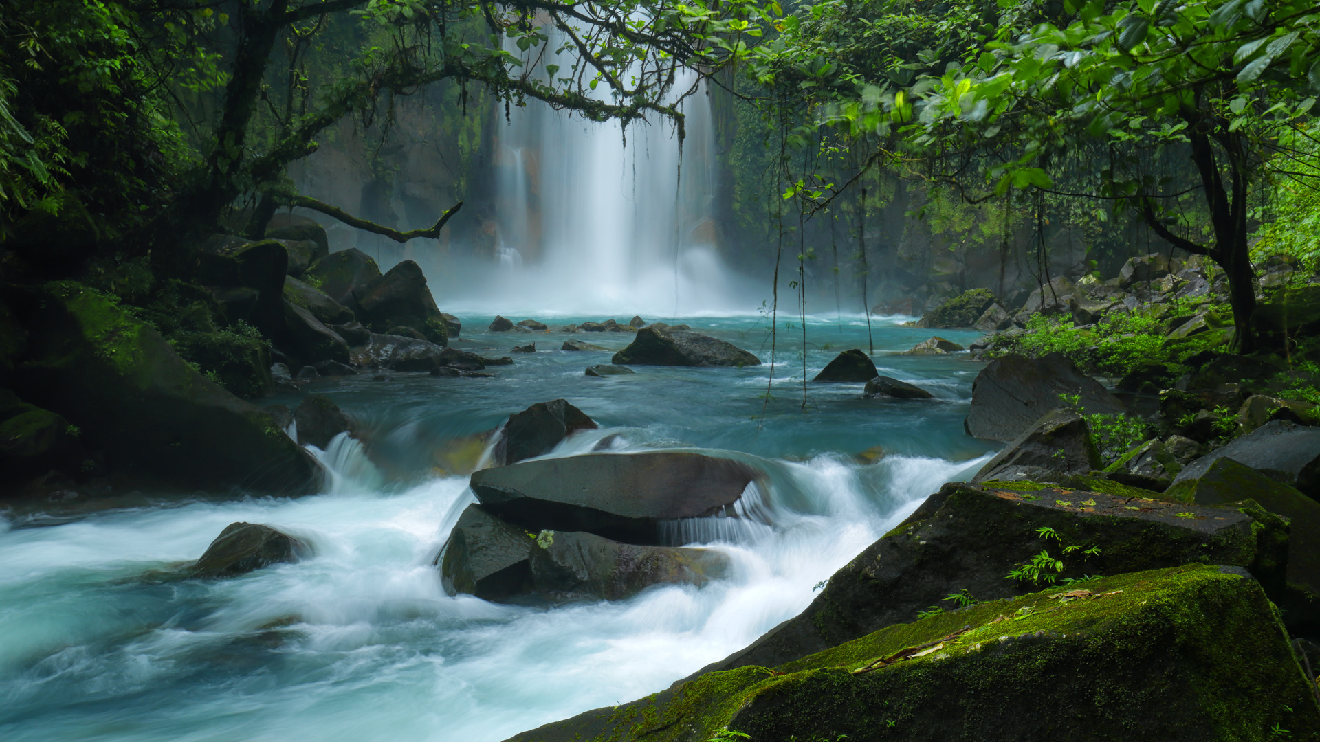 Celeste River in Tenorio National Park, Costa Rica. Windows 10 Spotlight Image