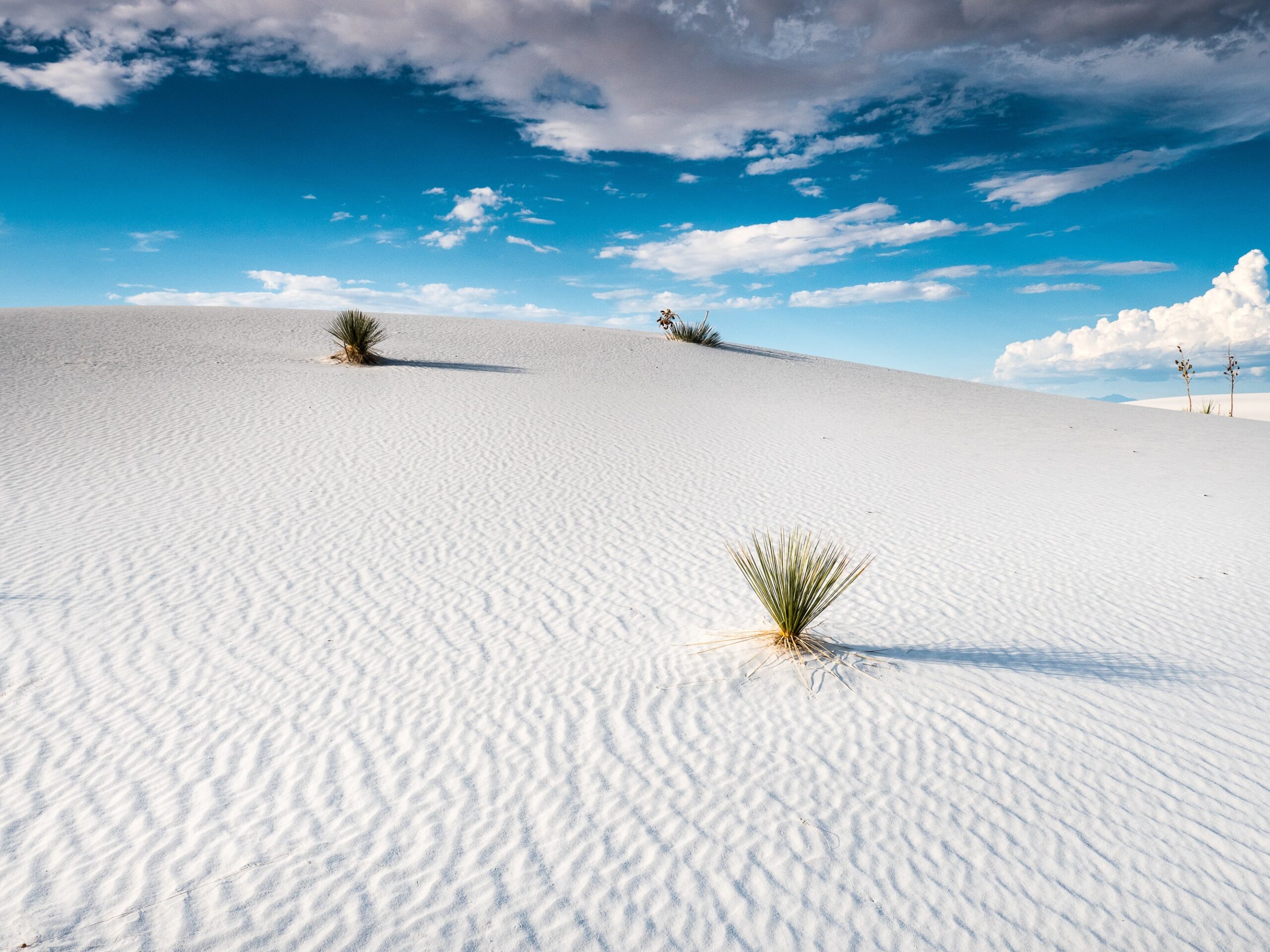 Miss International Travel? Go To These National Parks Park Pass