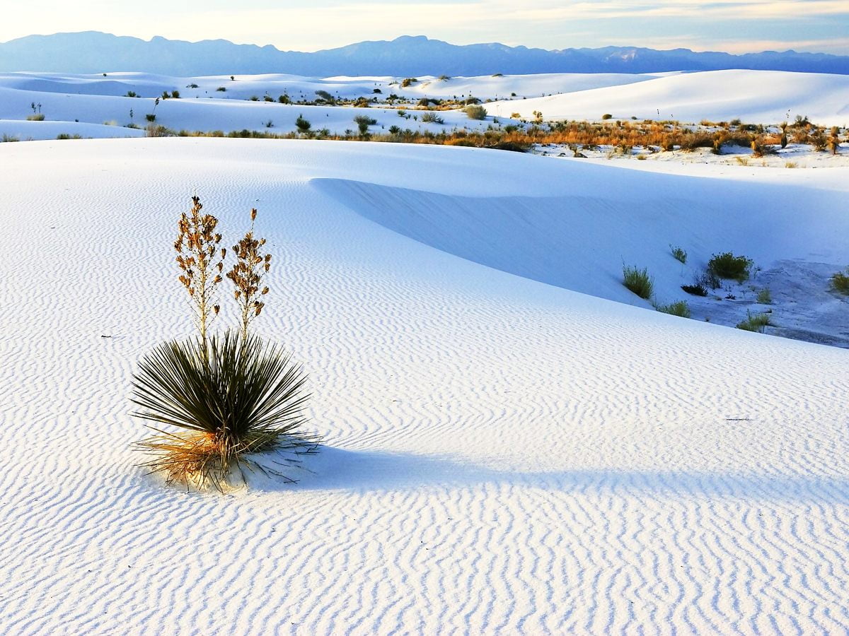 iPhone 8 White Sands National Park, Sand, New Mexico wallpaper. Download TOP Free background