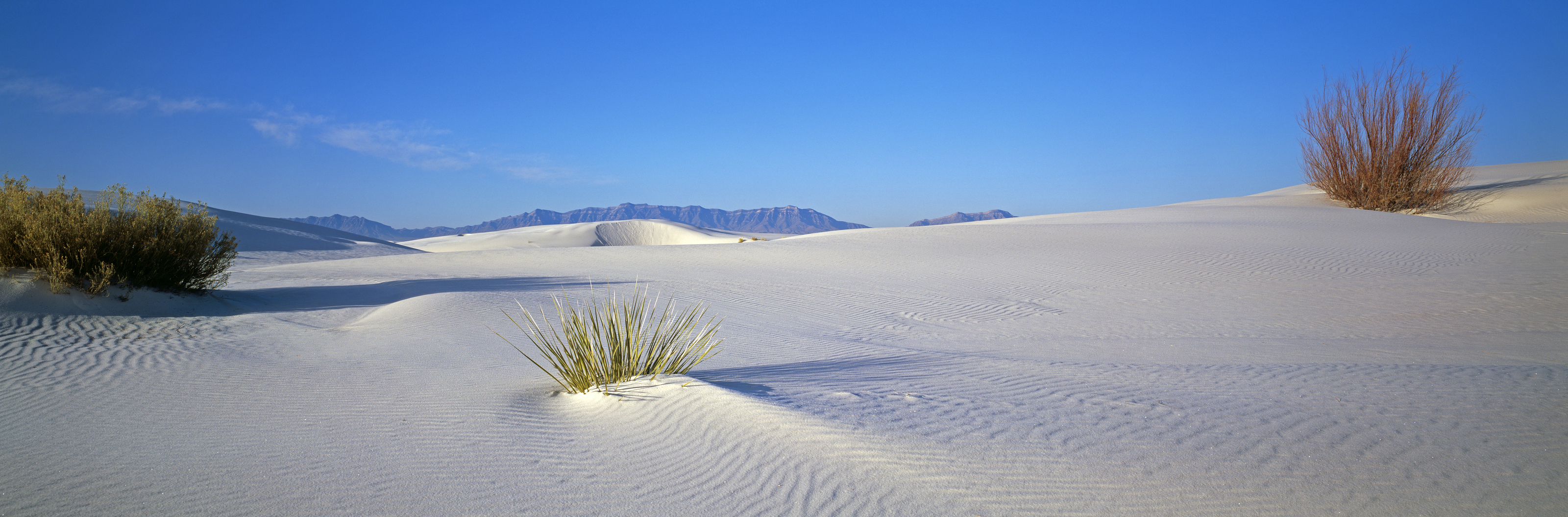 White Sands, NM Wallpaper Mural Your Way