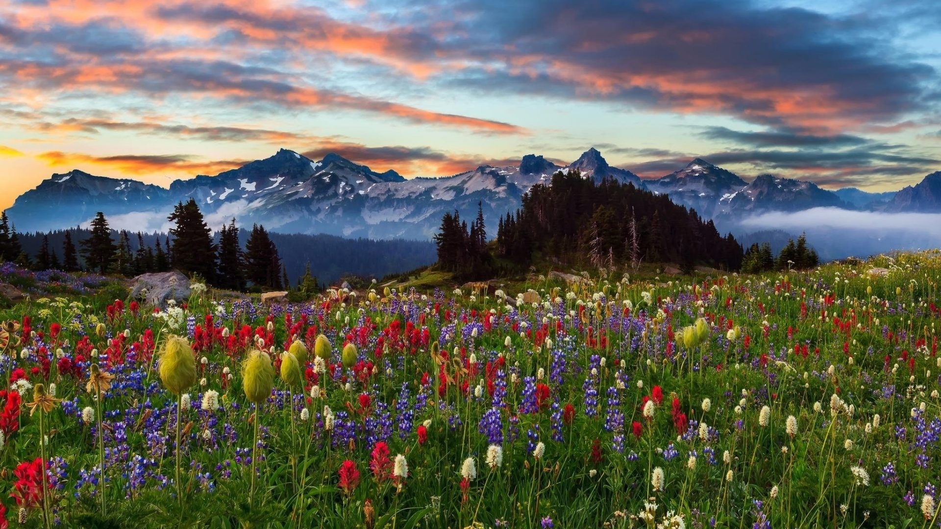 mountains, flowers, spring, park, sunset, nature, clouds Gallery HD Wallpaper