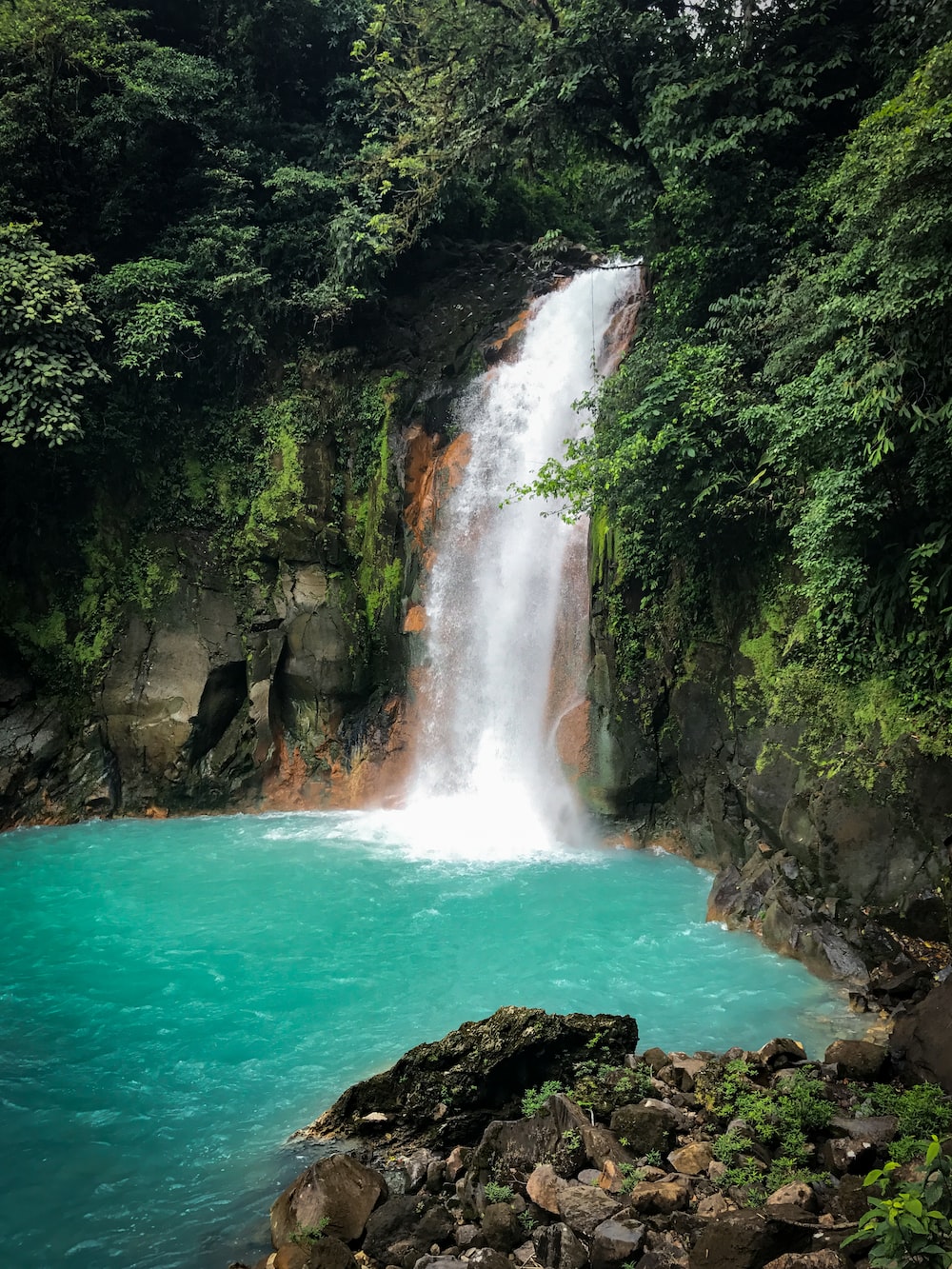 waterfalls in the middle of the forest during daytime photo