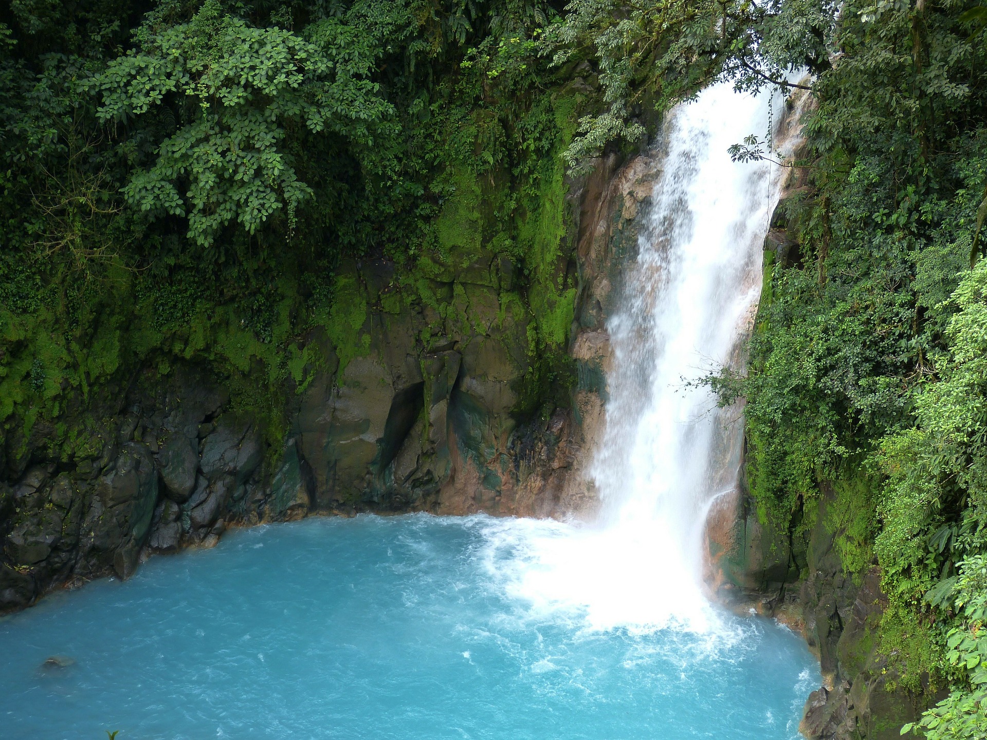 Tamarindo Day Trip: Rio Celeste & the Celeste River Waterfall