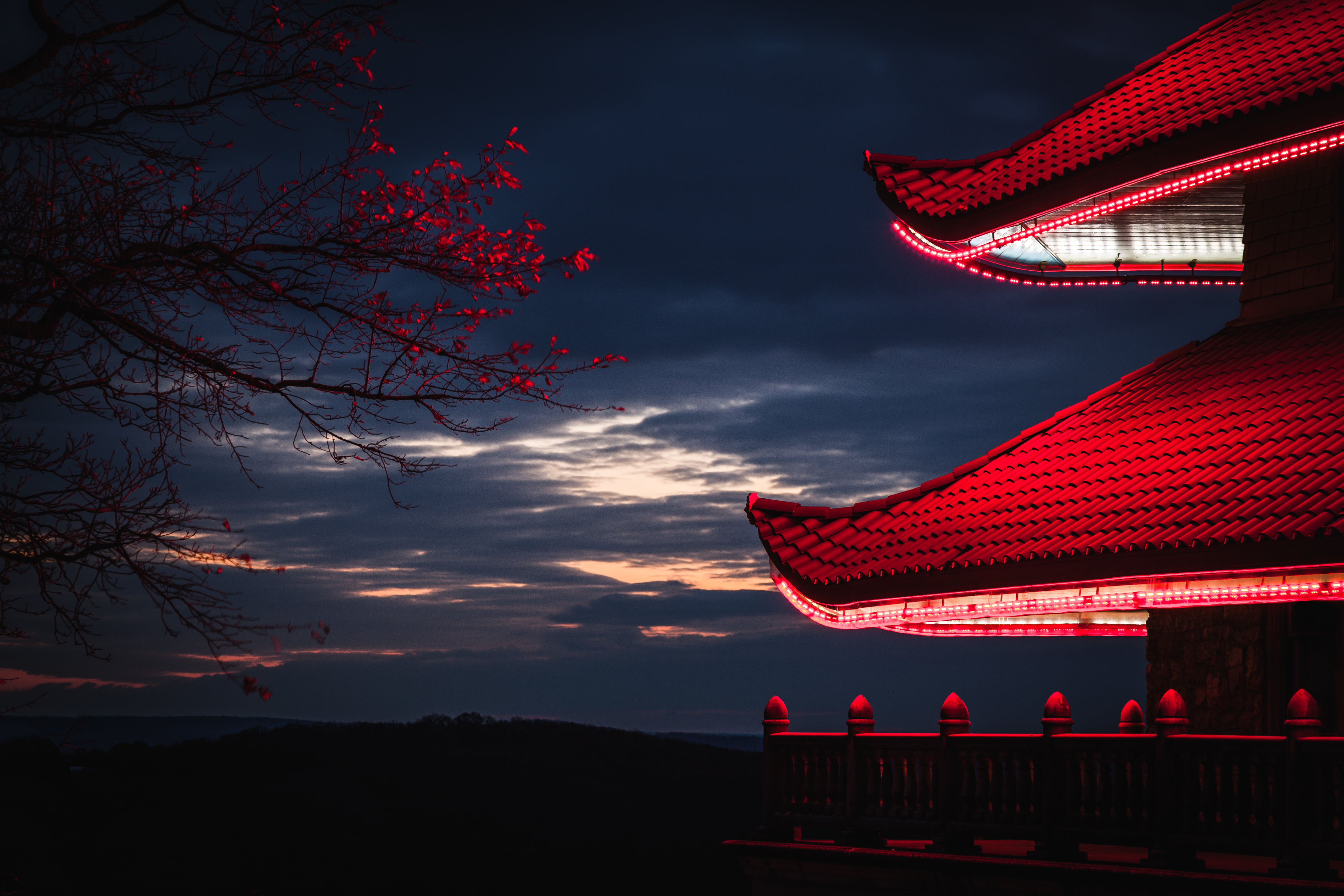 Wallpaper, sunset, night, architecture, red, reading, evening, atmosphere, Japanese, dusk, pagoda, artificial, midnight, Pennsylvania, light, tree, bluehour, dawn, darkness, computer wallpaper 5616x3744