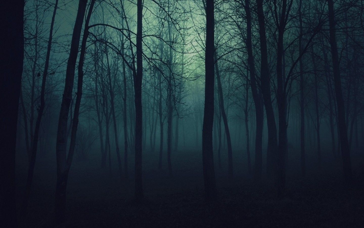 nature, Trees, Dark, Forests, Fog, Mist, Gloomy Wallpaper HD / Desktop and Mobile Background