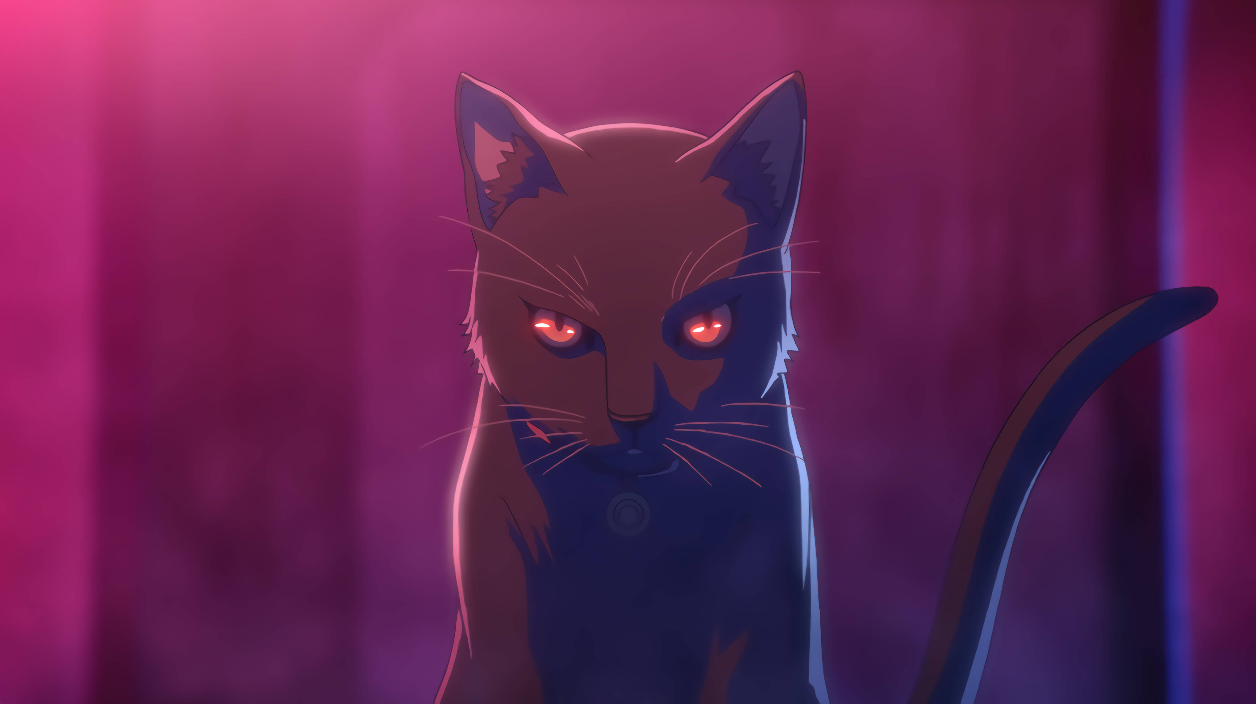 Download Cat Computer Black Anime Wallpaper