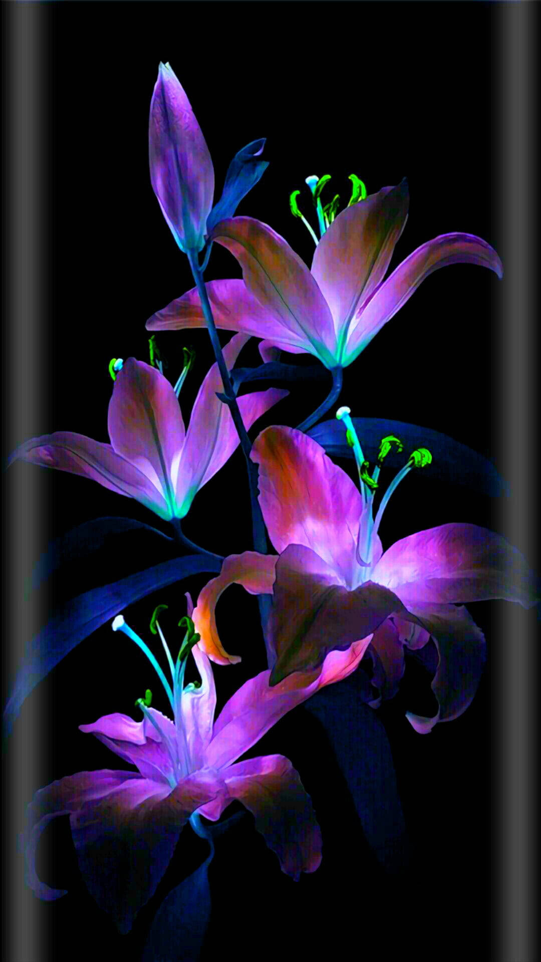 Glowing Flowers Wallpapers Wallpaper Cave