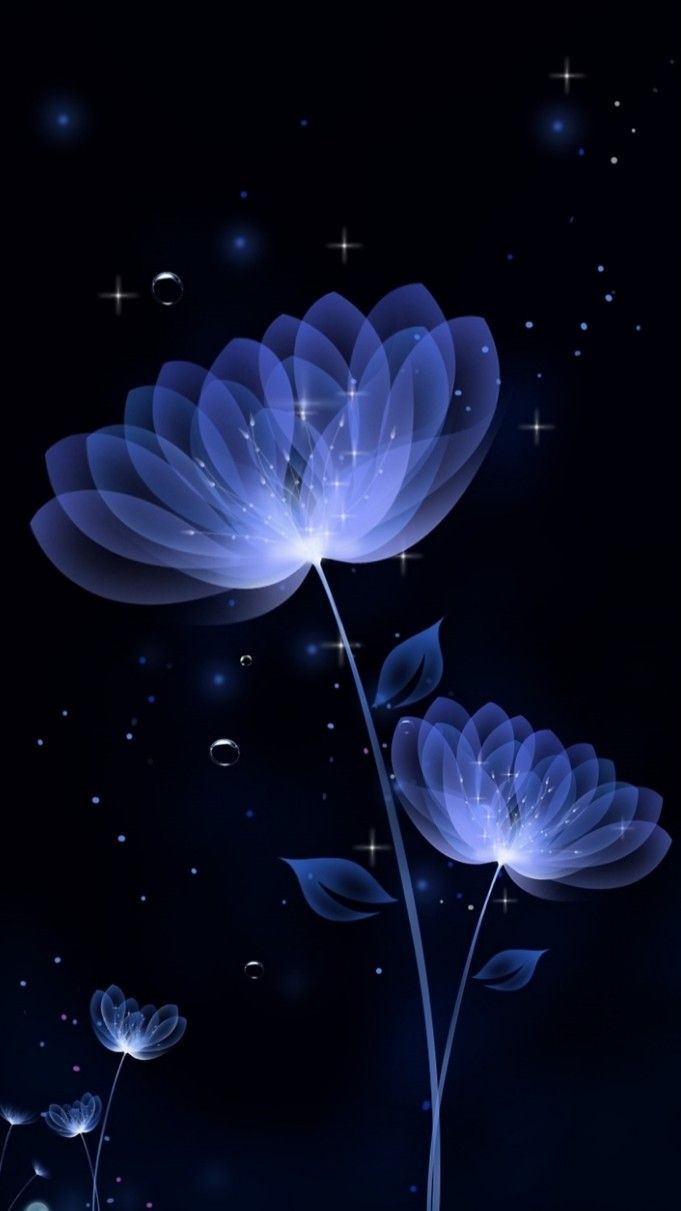 Bright / Glow Wallpaper. Pretty wallpaper background, Flower background wallpaper, Blue roses wallpaper