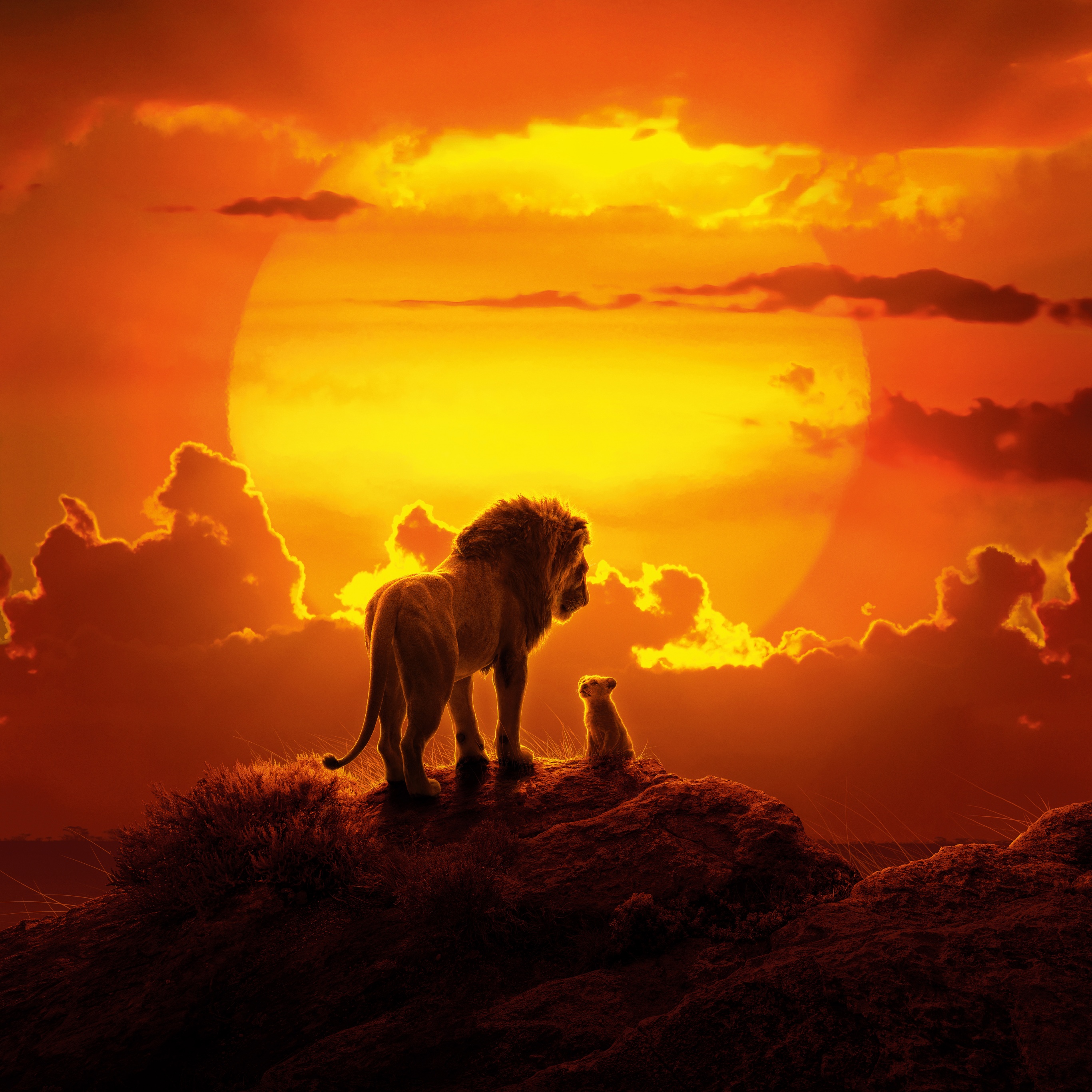 The Lion King Wallpaper 4K, Simba, Mufasa, Lion cub, Movies