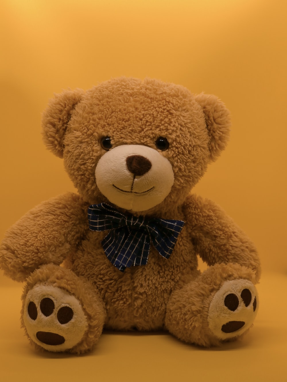 Teddy Picture. Download Free Image