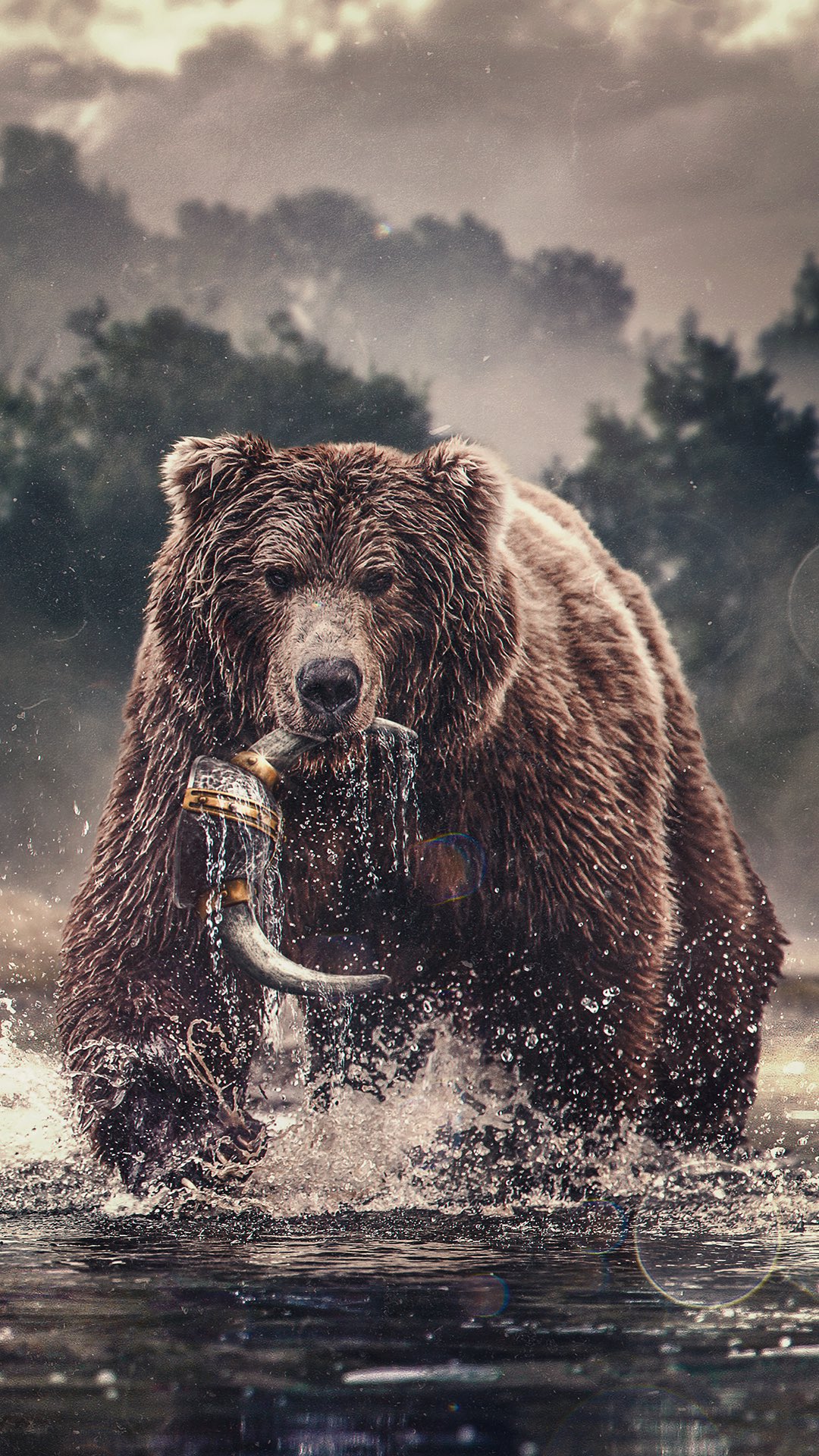 Grizzly Bear Wallpaper Black Bears Digital Art Simple Background   Wallpaperforu