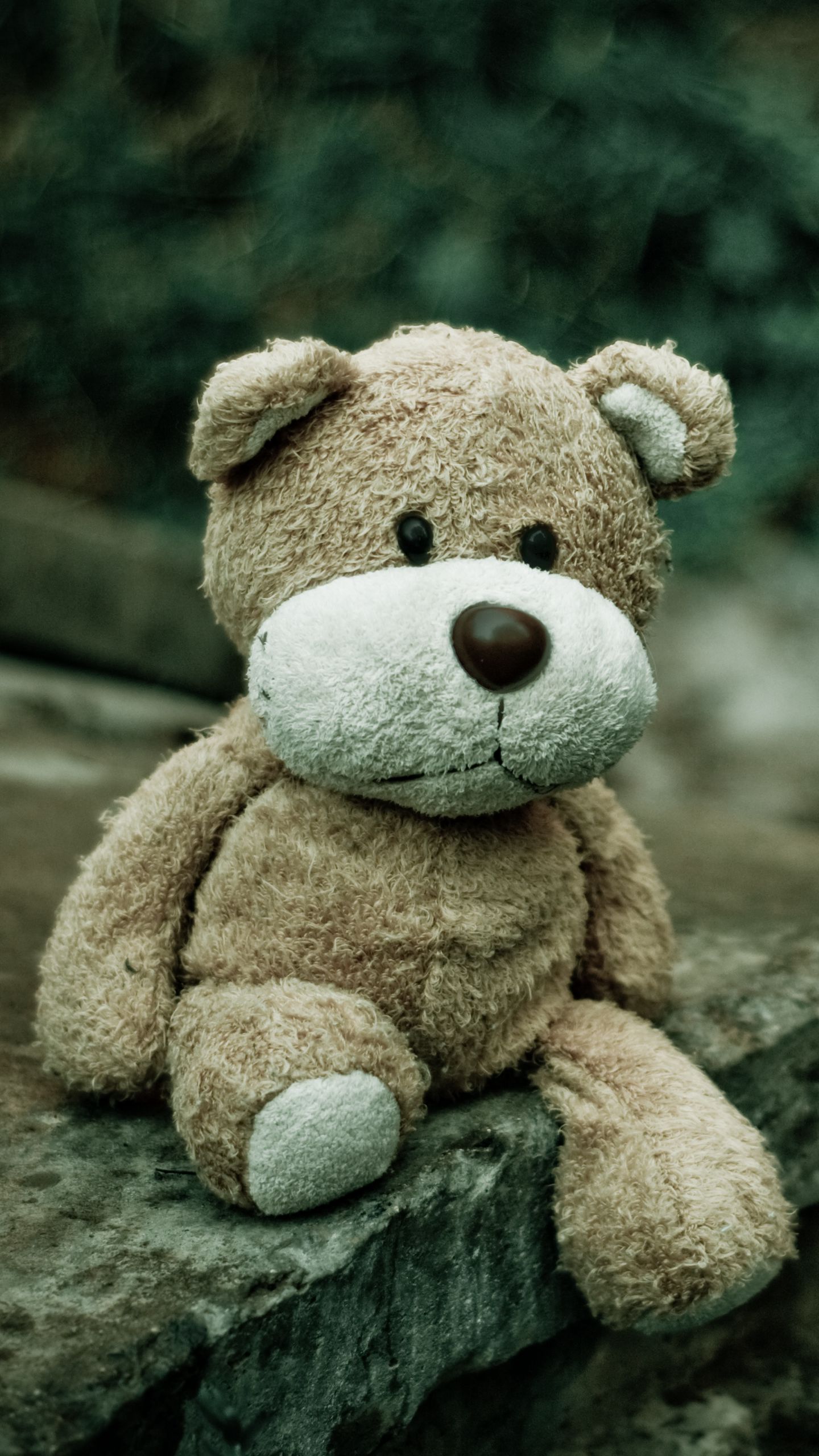 Download wallpaper 1440x2560 soft toy, teddy bear, bear qhd samsung galaxy s6, s7, edge, note, lg g4 HD background