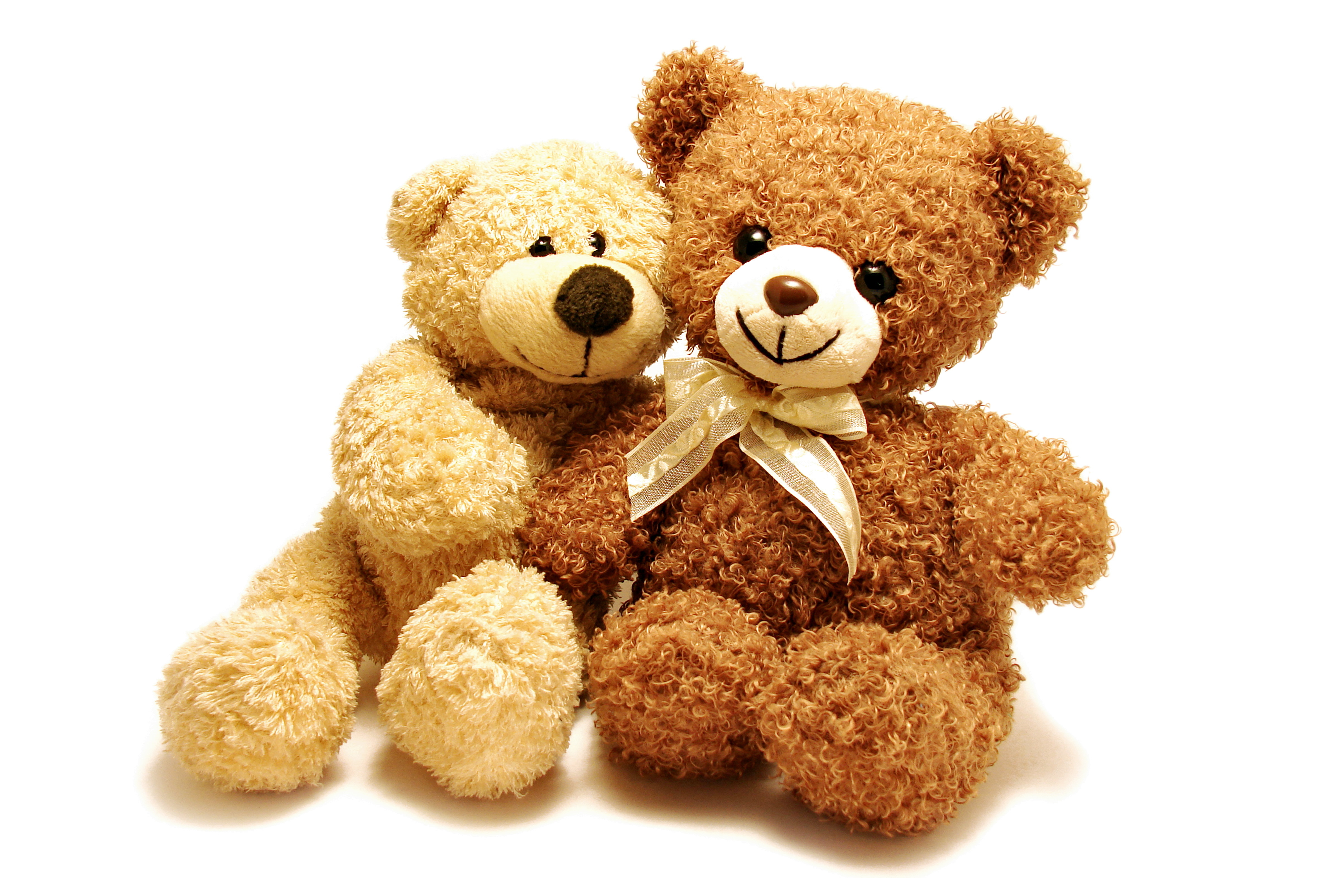 Teddy bears, 4K, Soft toys Gallery HD Wallpaper