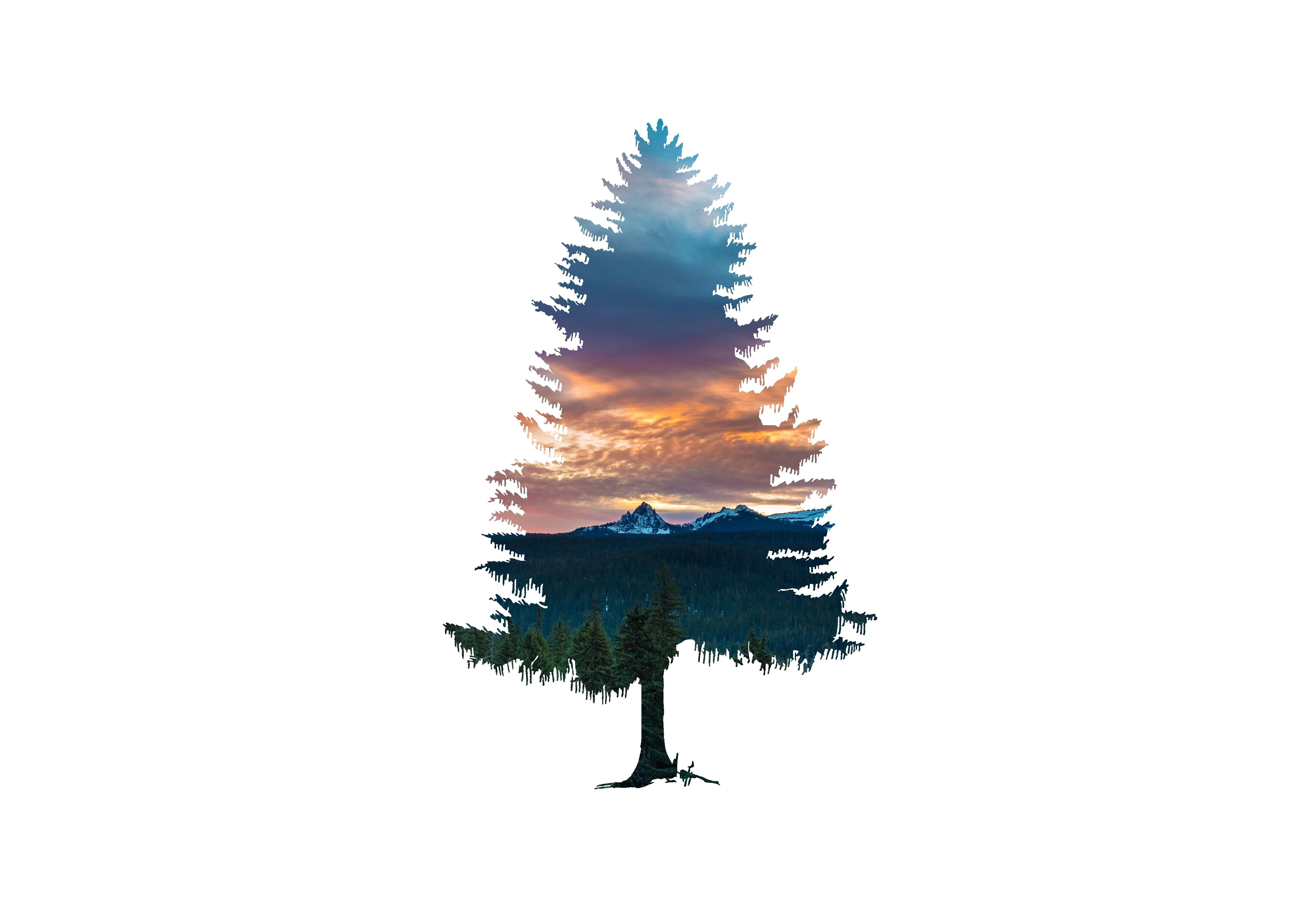 Wallpaper, minimalism, forest, trees, simple background, artwork, bright, plants 5000x3500
