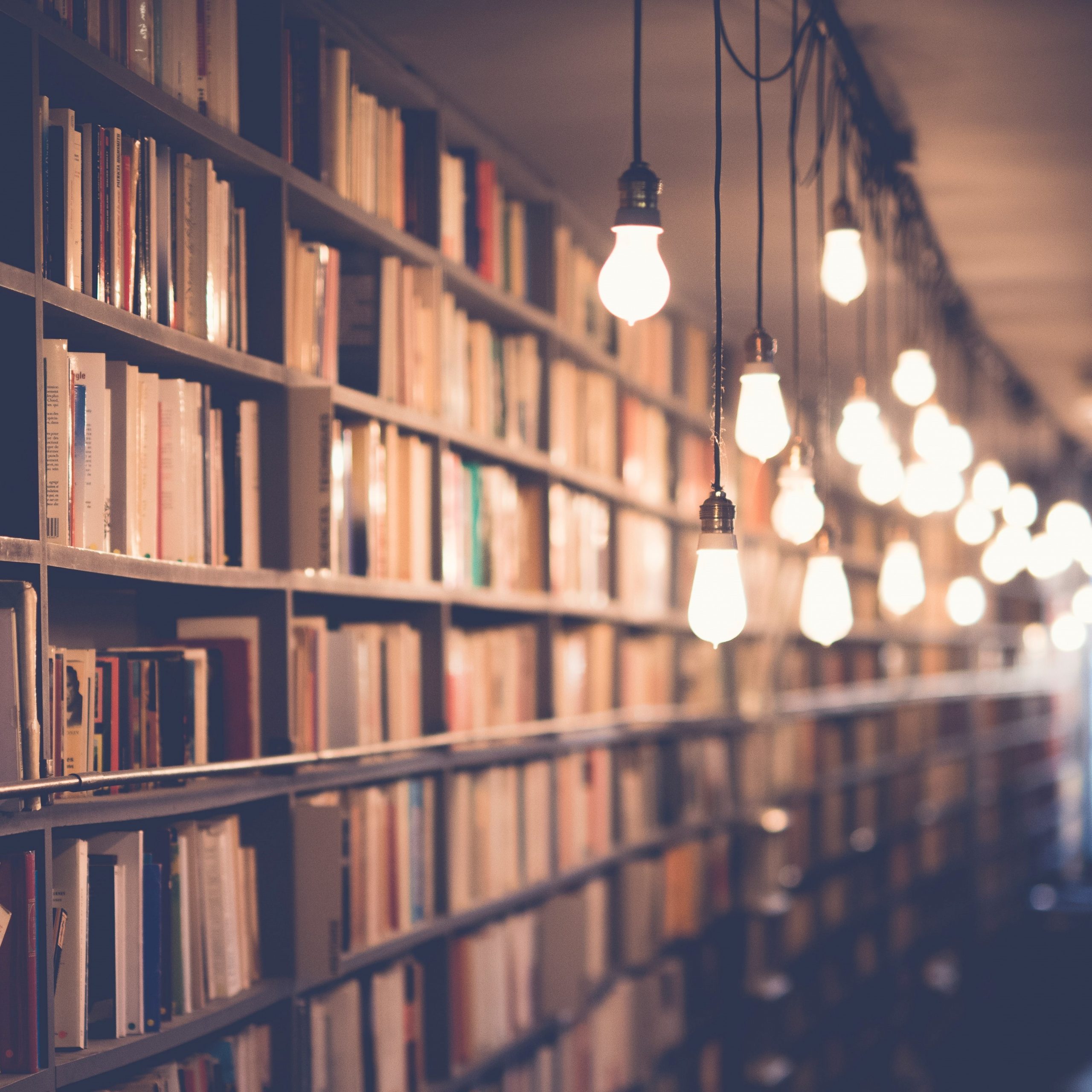 Virtual Evening Book Club: “The Maid”