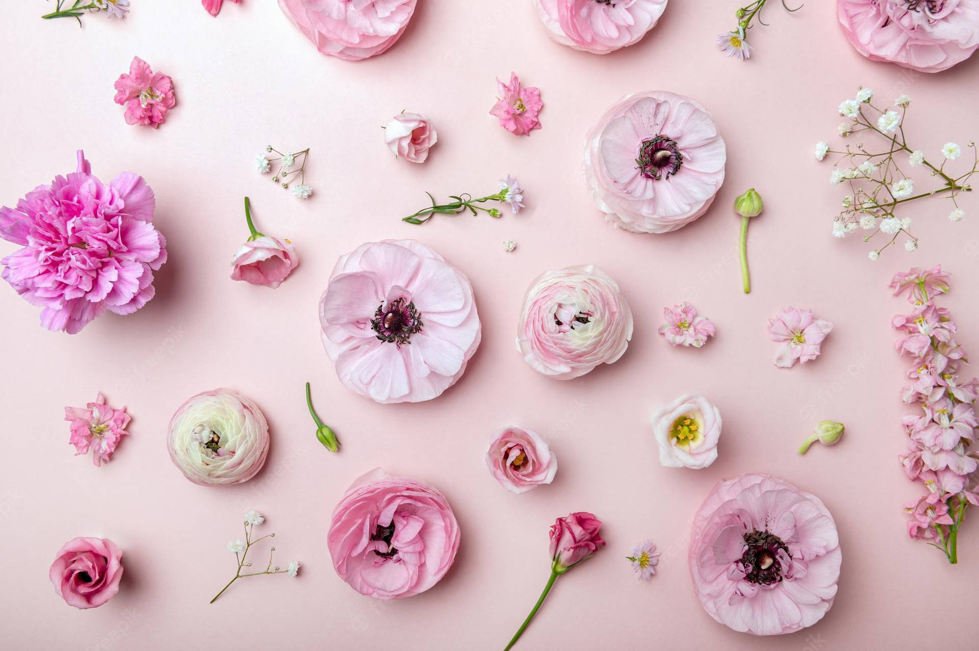 Cute Spring PC Wallpapers - Wallpaper Cave