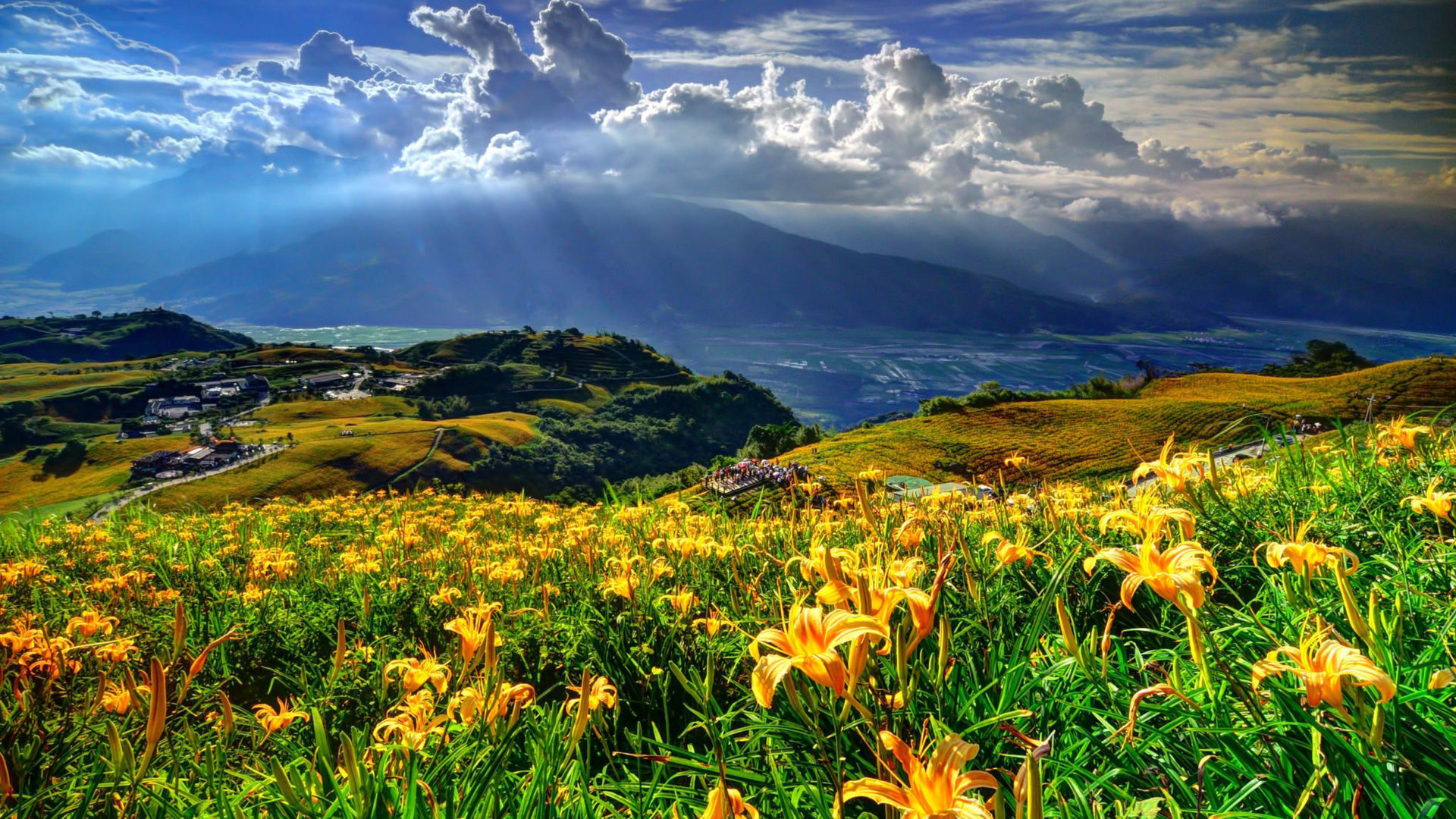 Spring Landscape Mountains Hills Lillies Yellow Flower Village Clouds Sky Nature Wallpaper HD For Mobile Phones 2560x1600, Wallpaper13.com