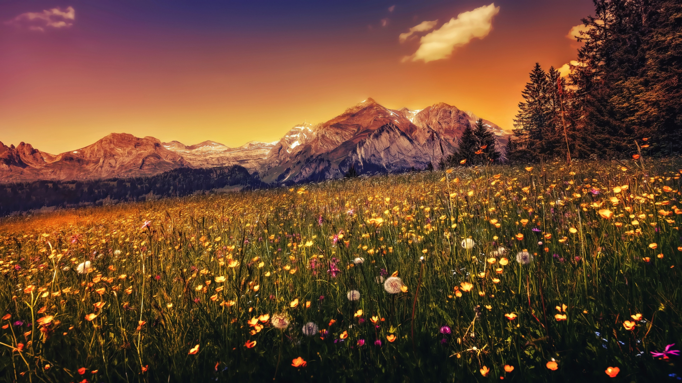 Download wallpaper 1366x768 landscape, plants, mountains, sunset, tablet, laptop, 1366x768 HD background, 1011