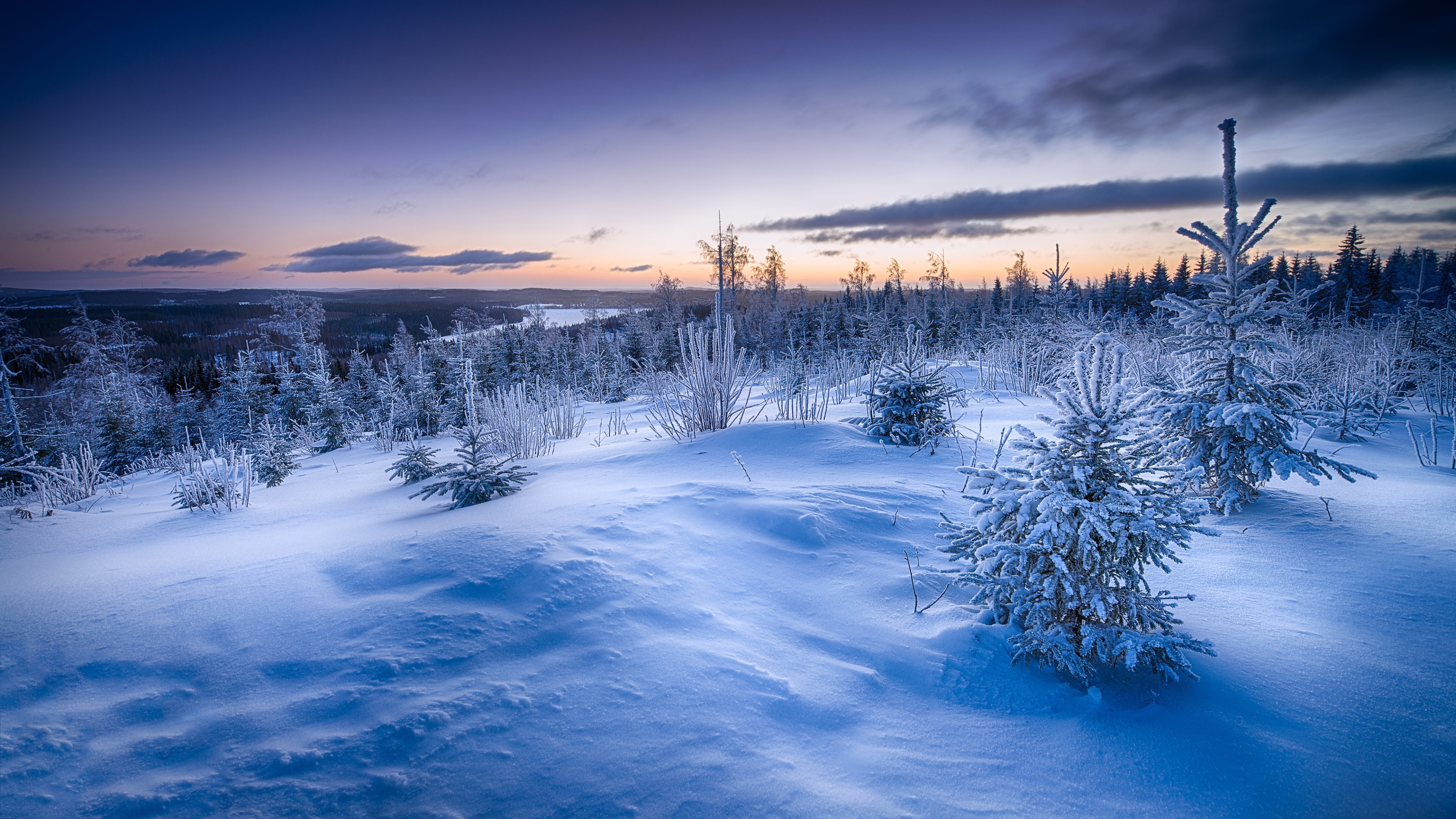winter horizon 4k background wallpaper for pc 1080P, 2k, 4k HD wallpaper, background free download