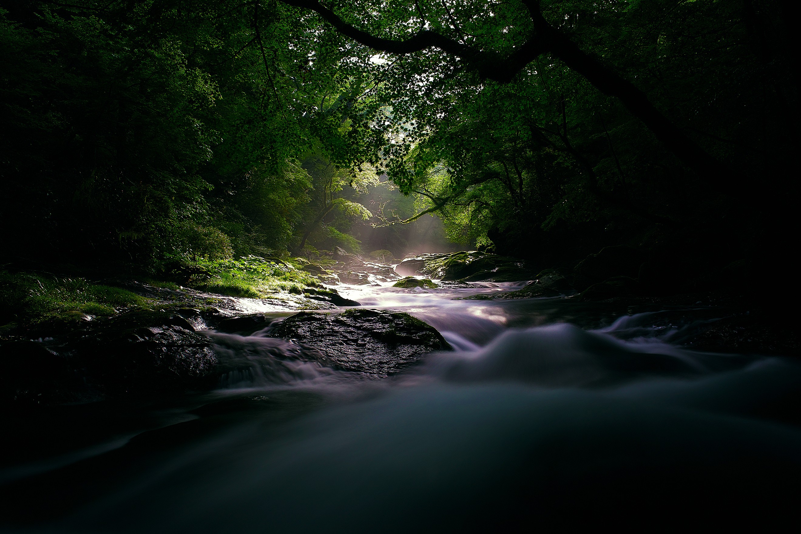 Wallpaper, sunlight, trees, landscape, forest, leaves, waterfall, rock, nature, reflection, photography, morning, mist, river, sun rays, rocks, wilderness, jungle, stream, rainforest, tree, leaf, darkness, Rapid, habitat, natural environment