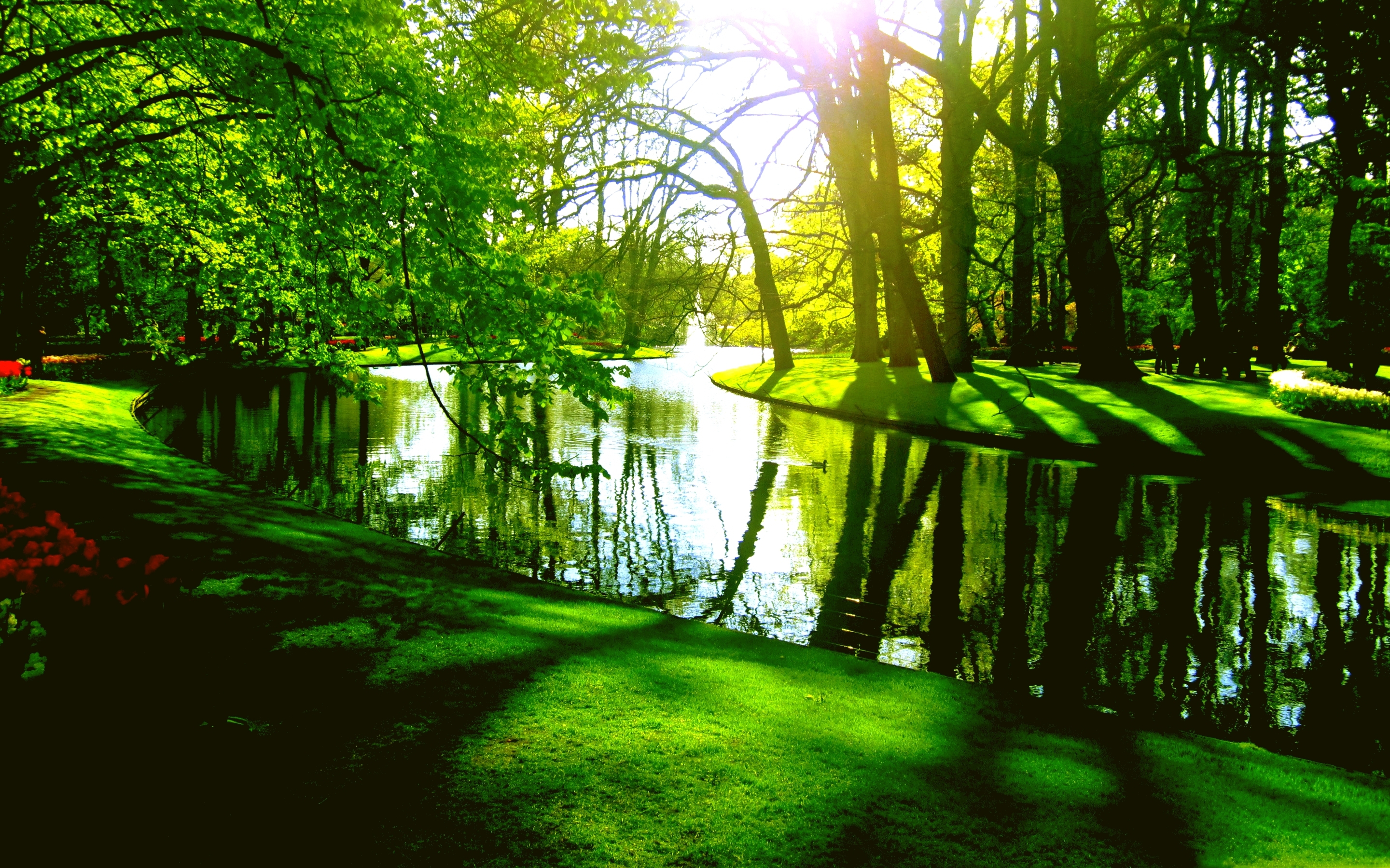 HD desktop wallpaper: Park, Tree, Pond, Spring, River, Photography download free picture