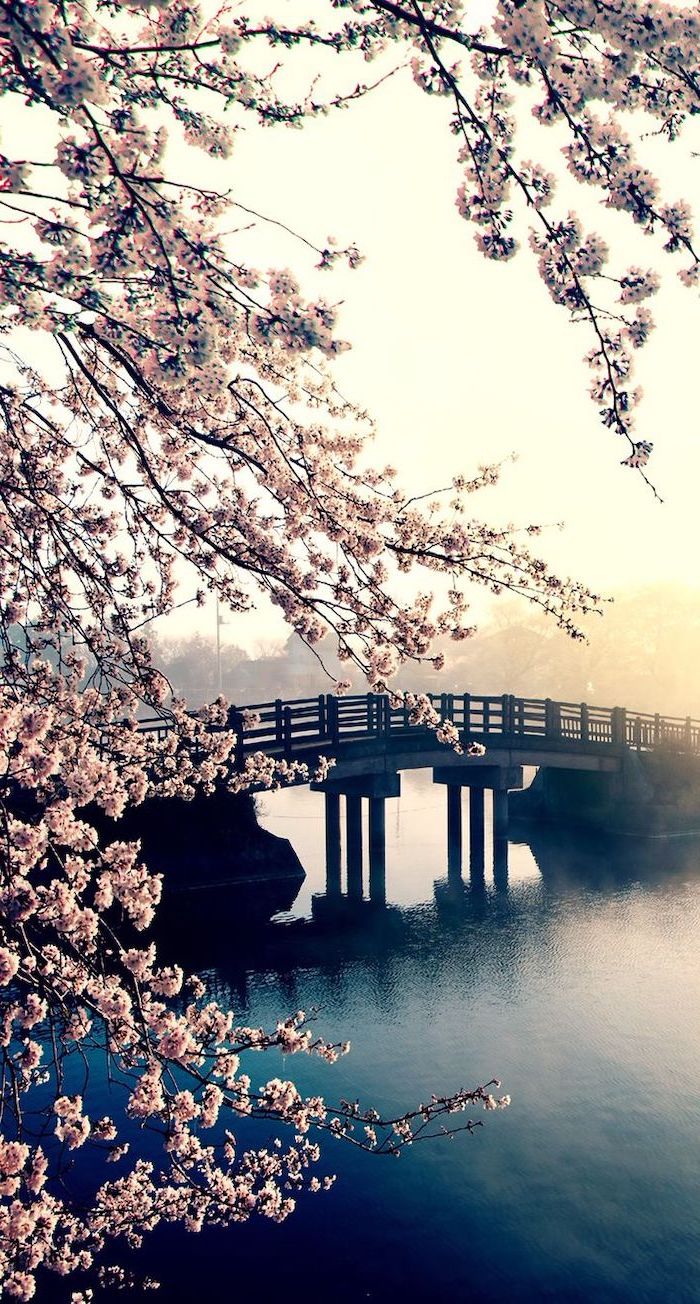 + spring wallpaper image for your phone and desktop computer