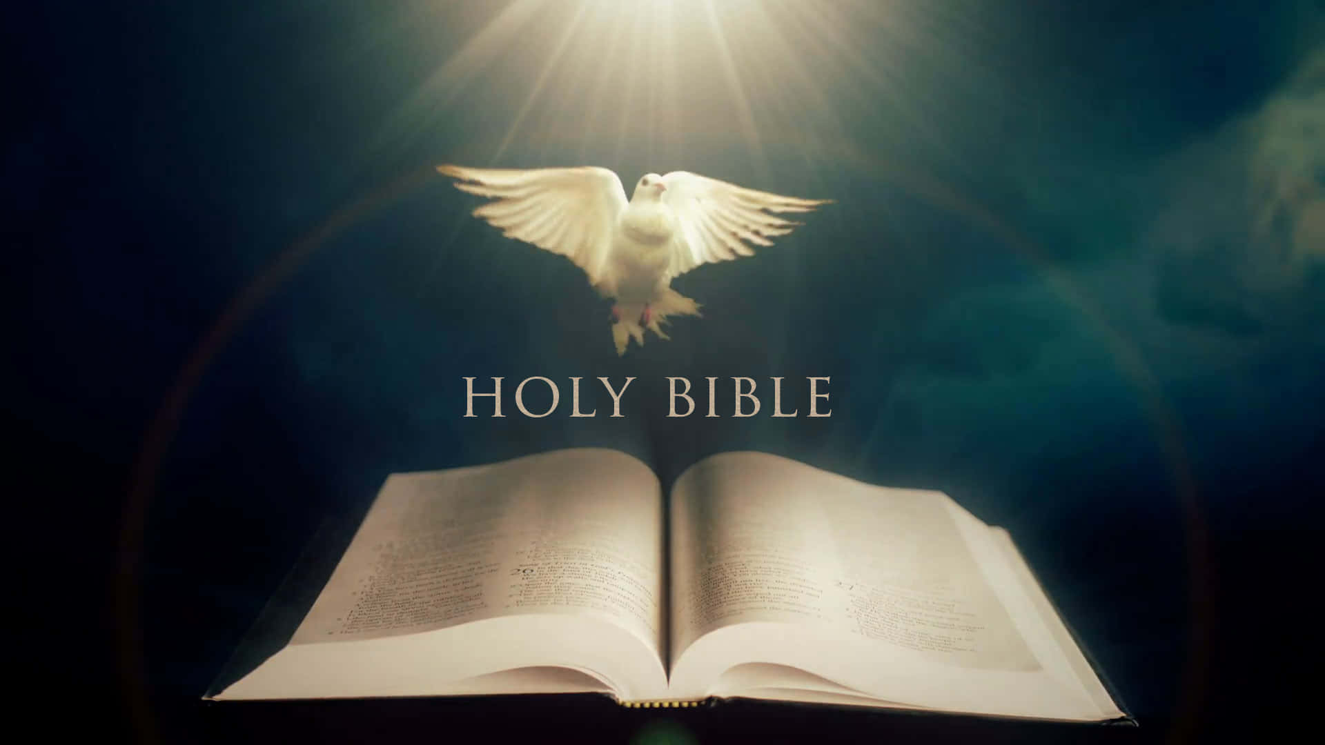 Free Holy Bible Background, Holy Bible Background s for FREE
