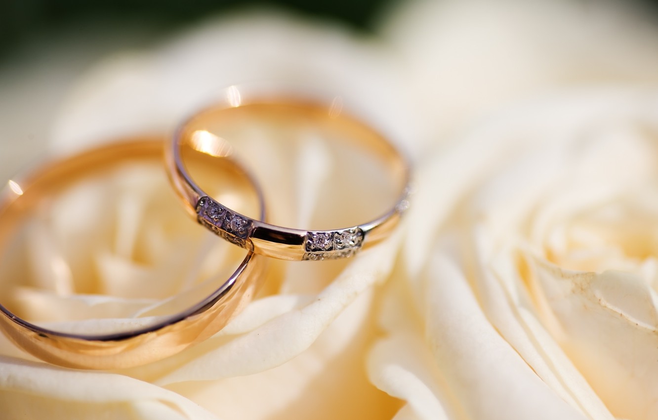 Wallpaper white, macro, style, background, widescreen, Wallpaper, silver, ring, wallpaper, different, widescreen, background, full screen, HD wallpaper, engagement rings, widescreen image for desktop, section разное