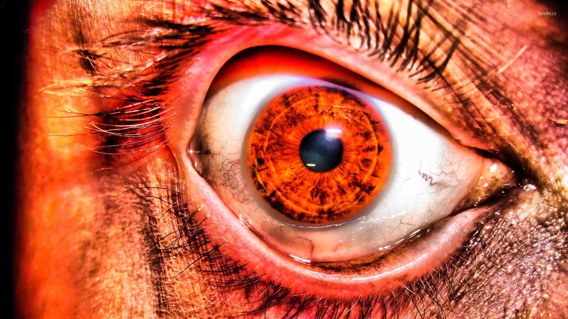 Creepy eye wallpaper wallpaper