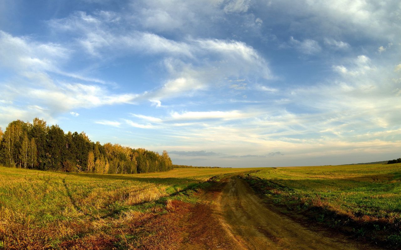 Download wallpaper 1280x800 road, field, sky, clouds, blue, country, open spaces, trees, horizon, landscape widescreen 16:10 HD background