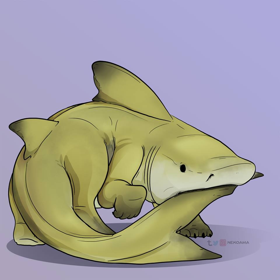 Baby Shark Dance Cute Background Wallpaper Photo Hd