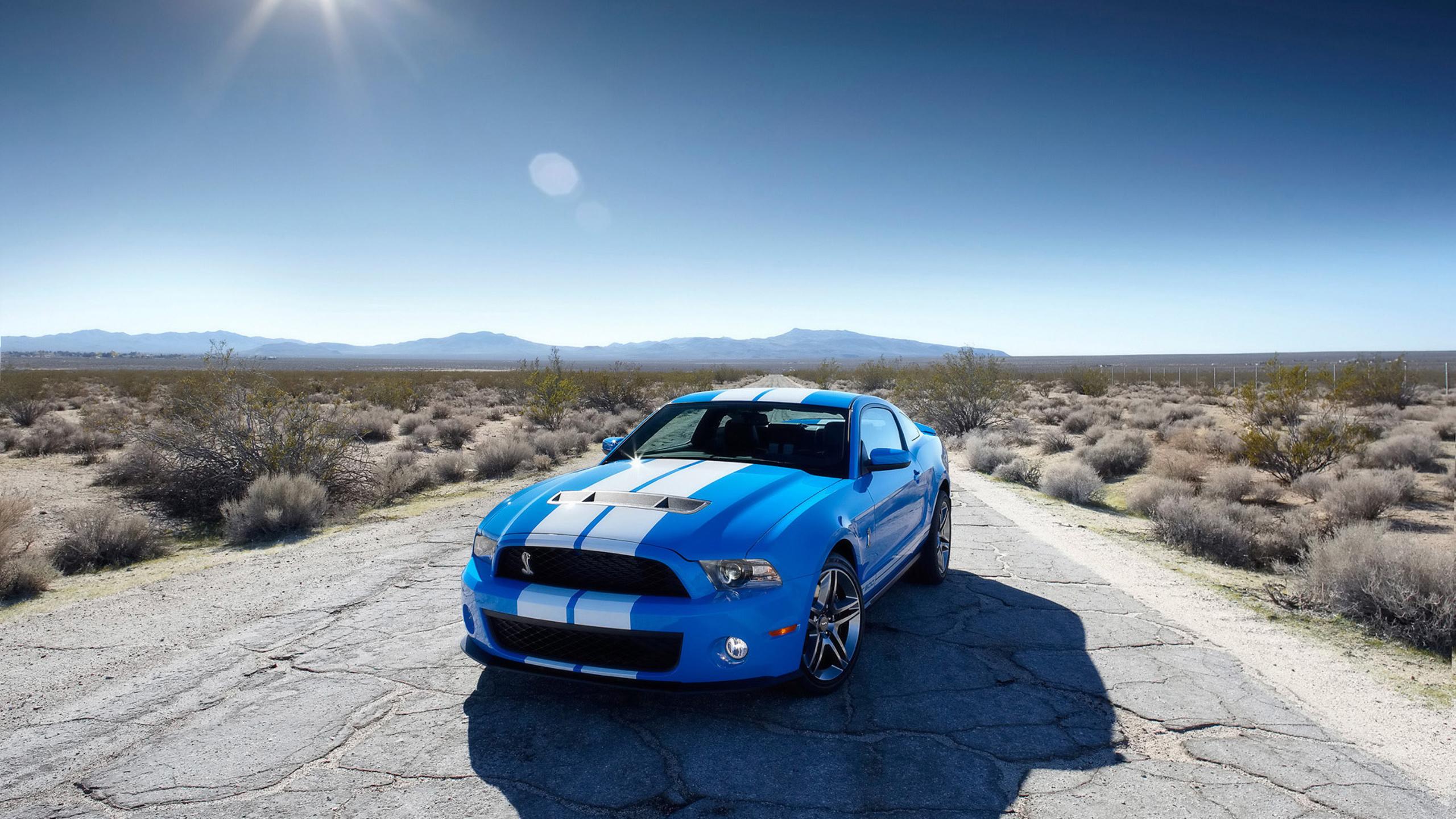 Blue Ford Mustang with white lines