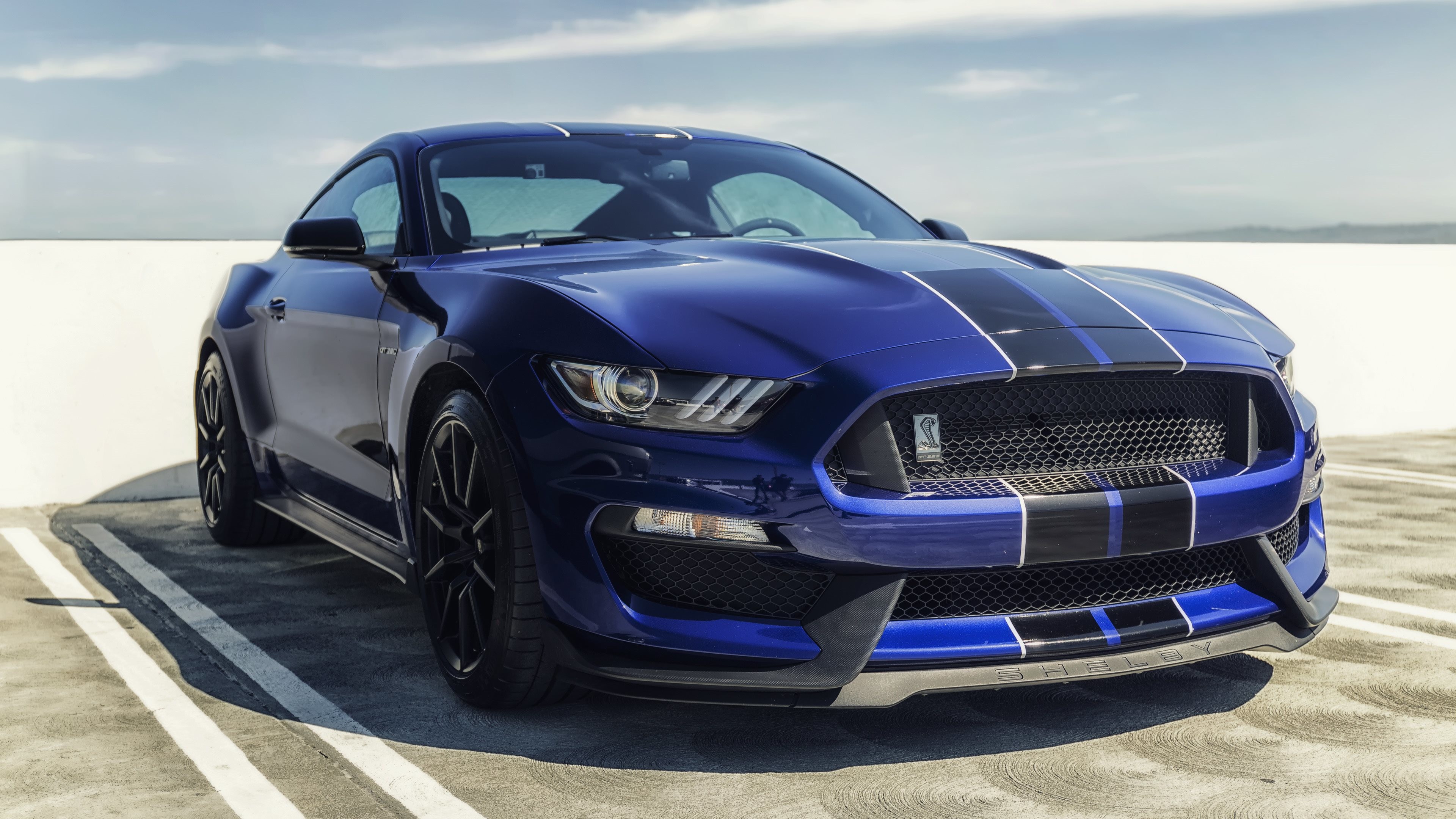 Ford Mustang Shelby Wallpaper