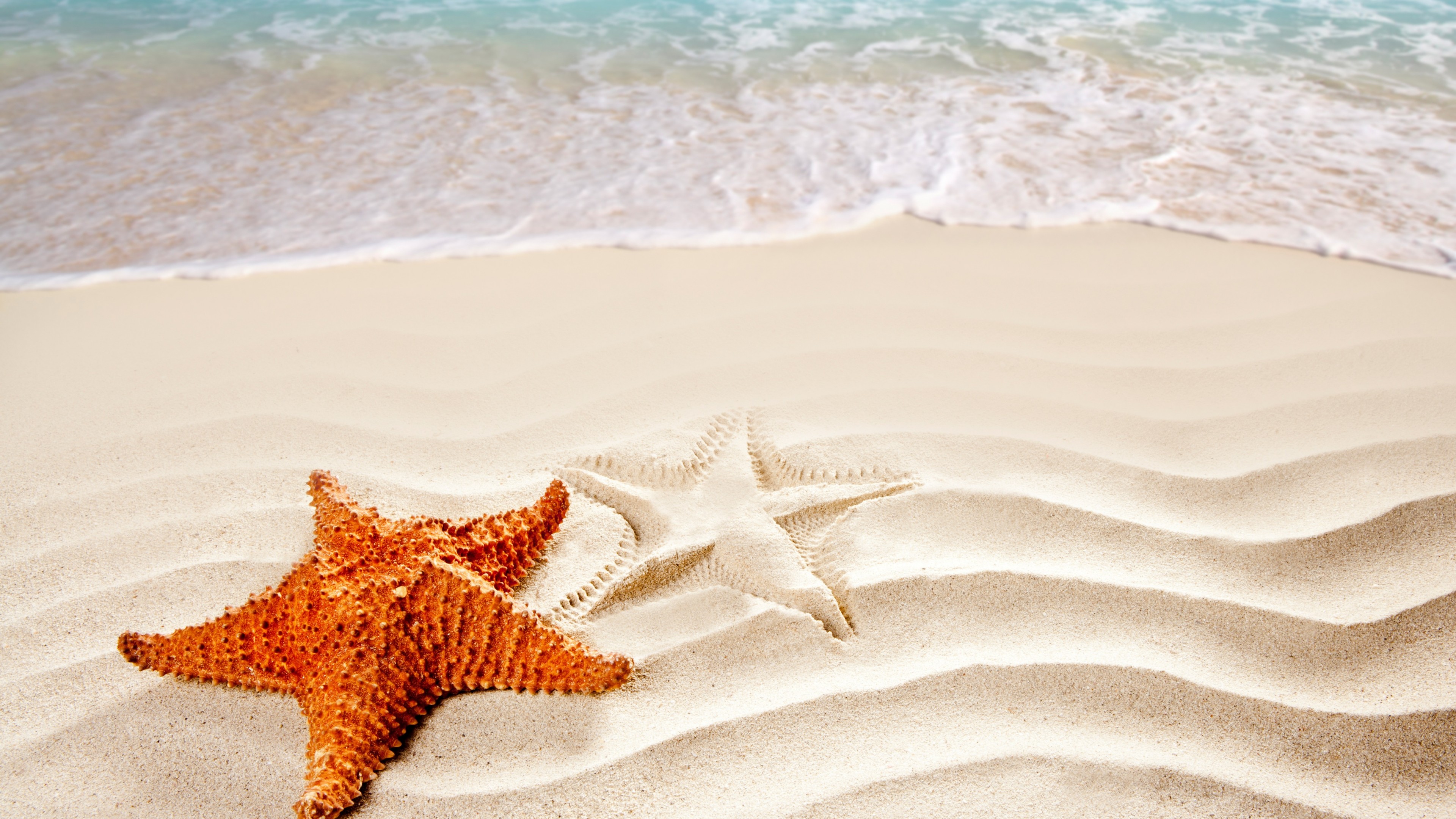 Wallpaper Sea, 5k, 4k wallpaper, ocean, starfish, shore, Best Beaches in the World, Nature