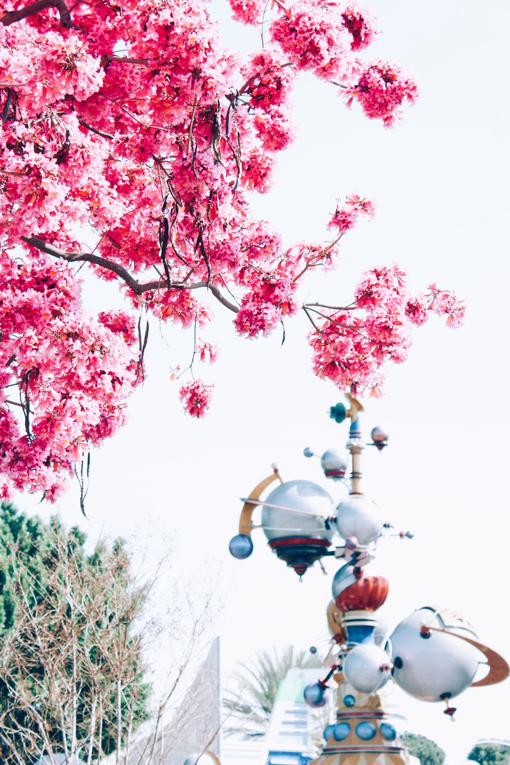 Disneyland in the Spring. Disney aesthetic, Disneyland, Disney wallpaper