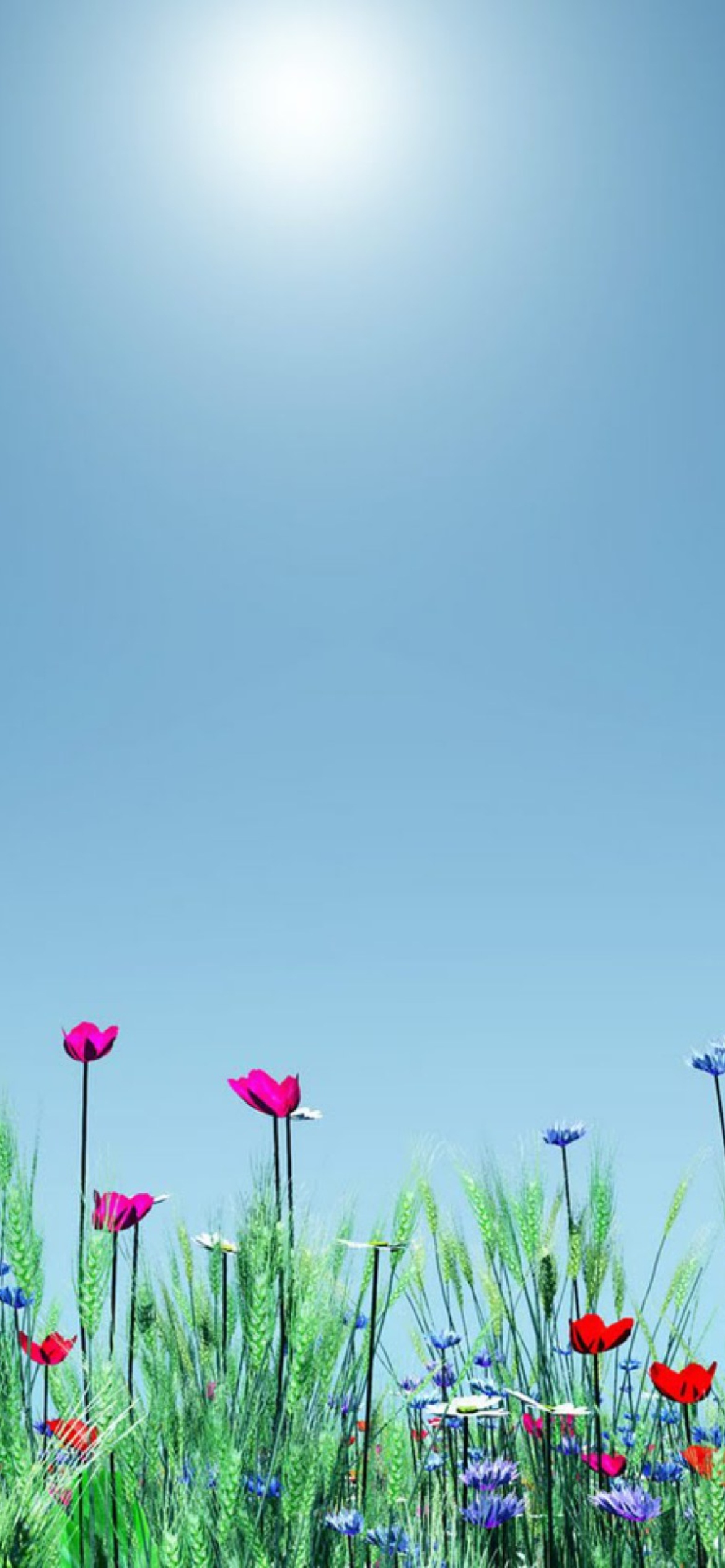 Spring Flowers Wallpaper for iPhone XR